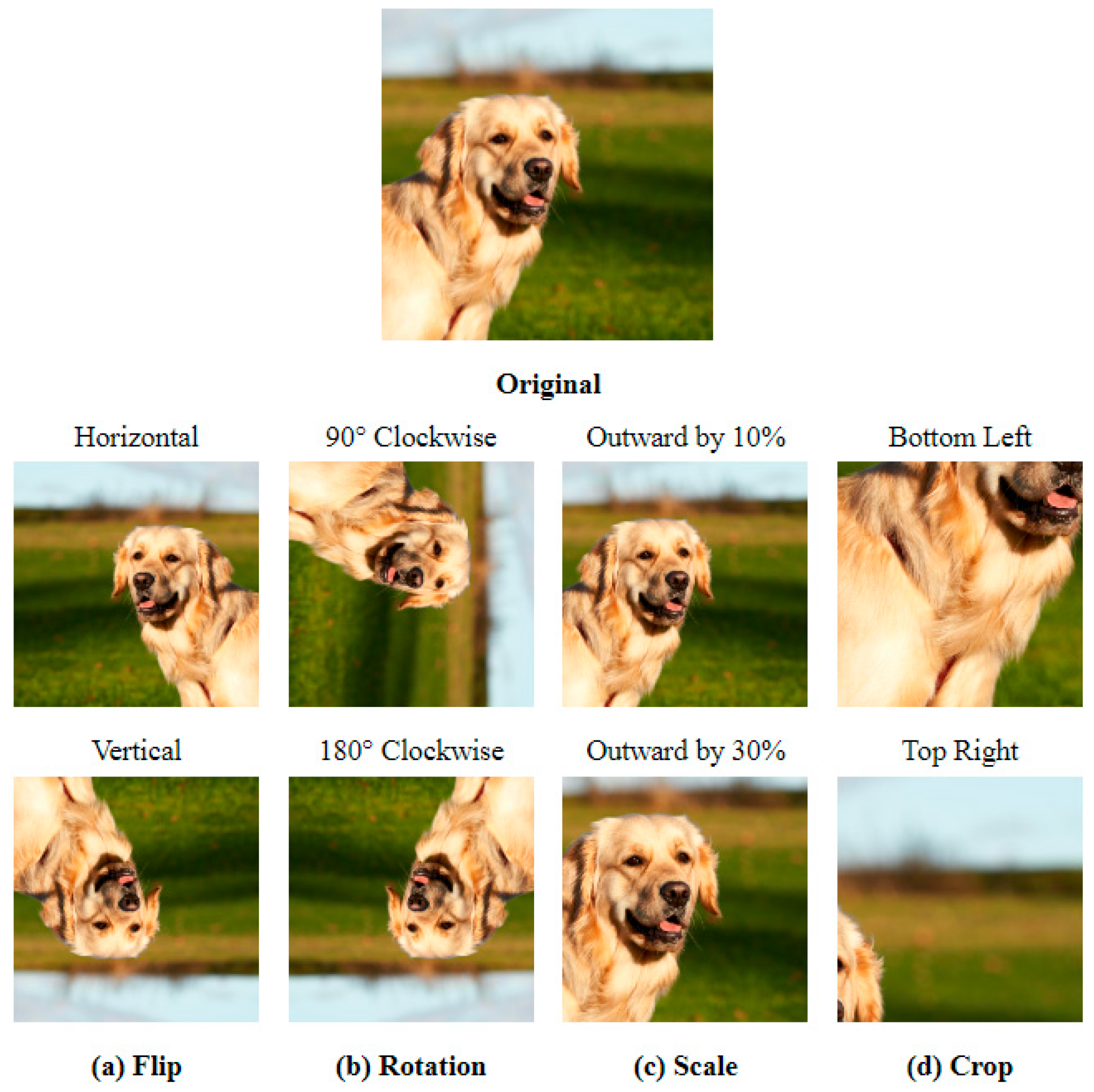 Healthcare 11 02068 g009