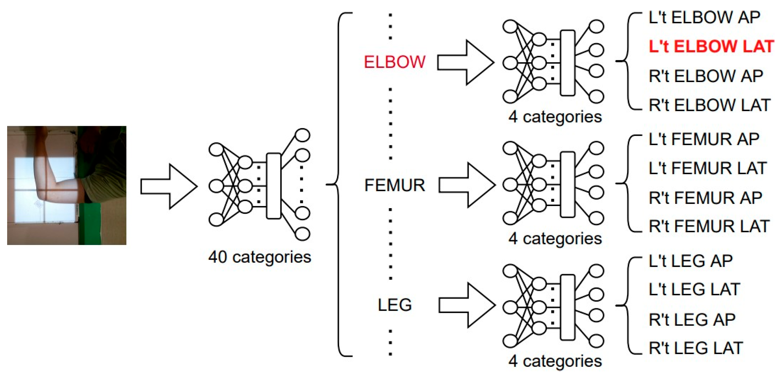 Healthcare 11 02068 g013