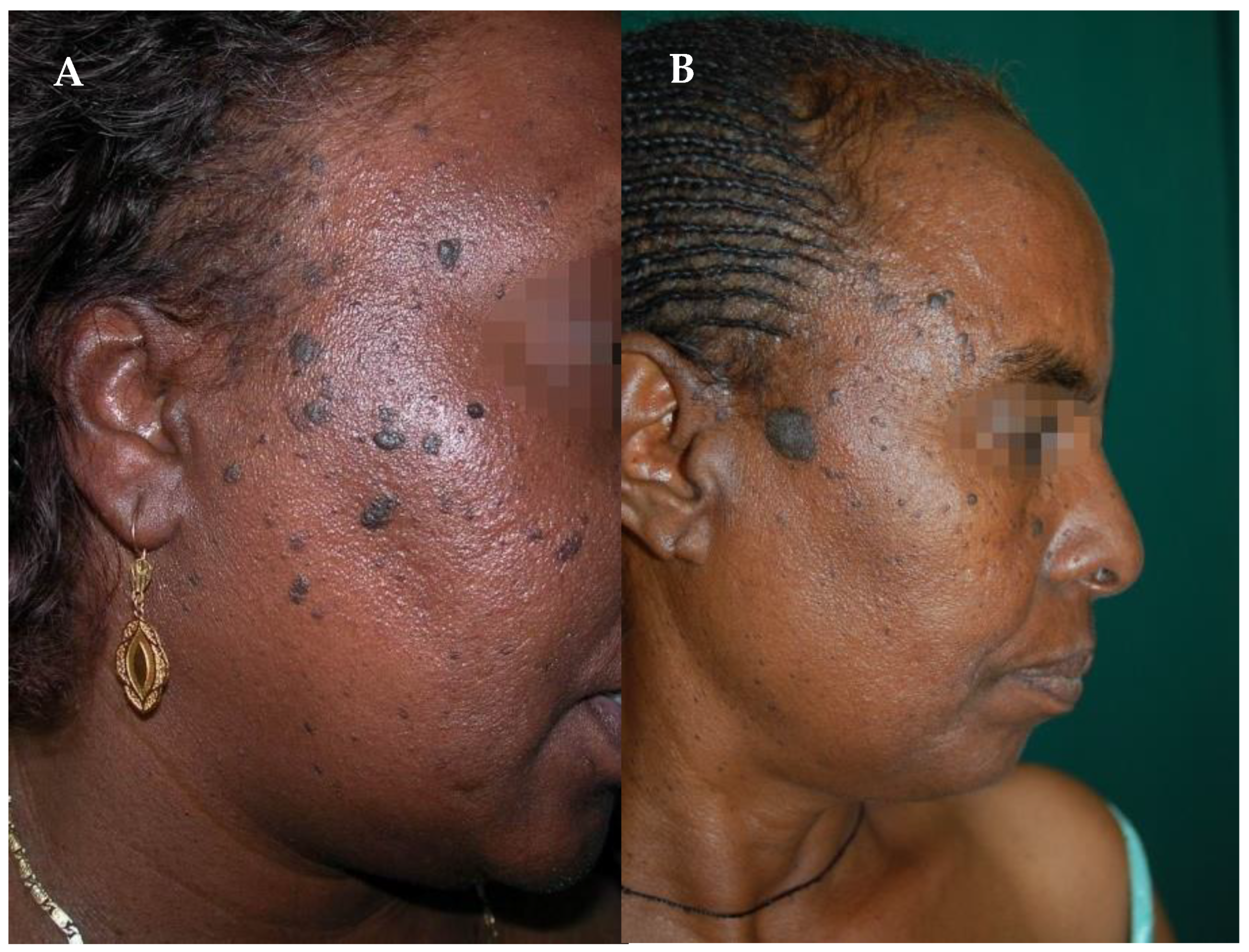 Healthcare 11 02091 g006