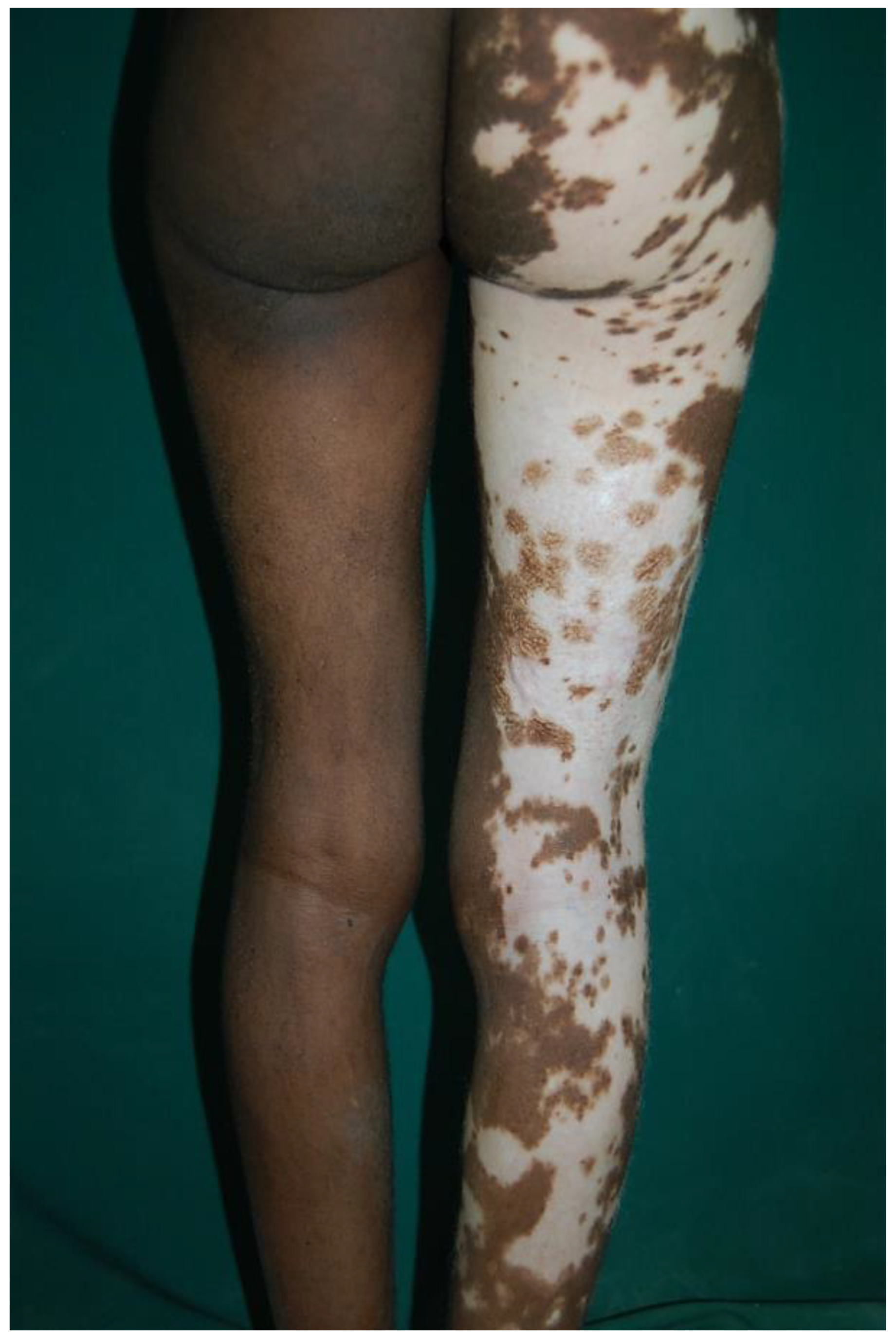 Healthcare 11 02091 g008