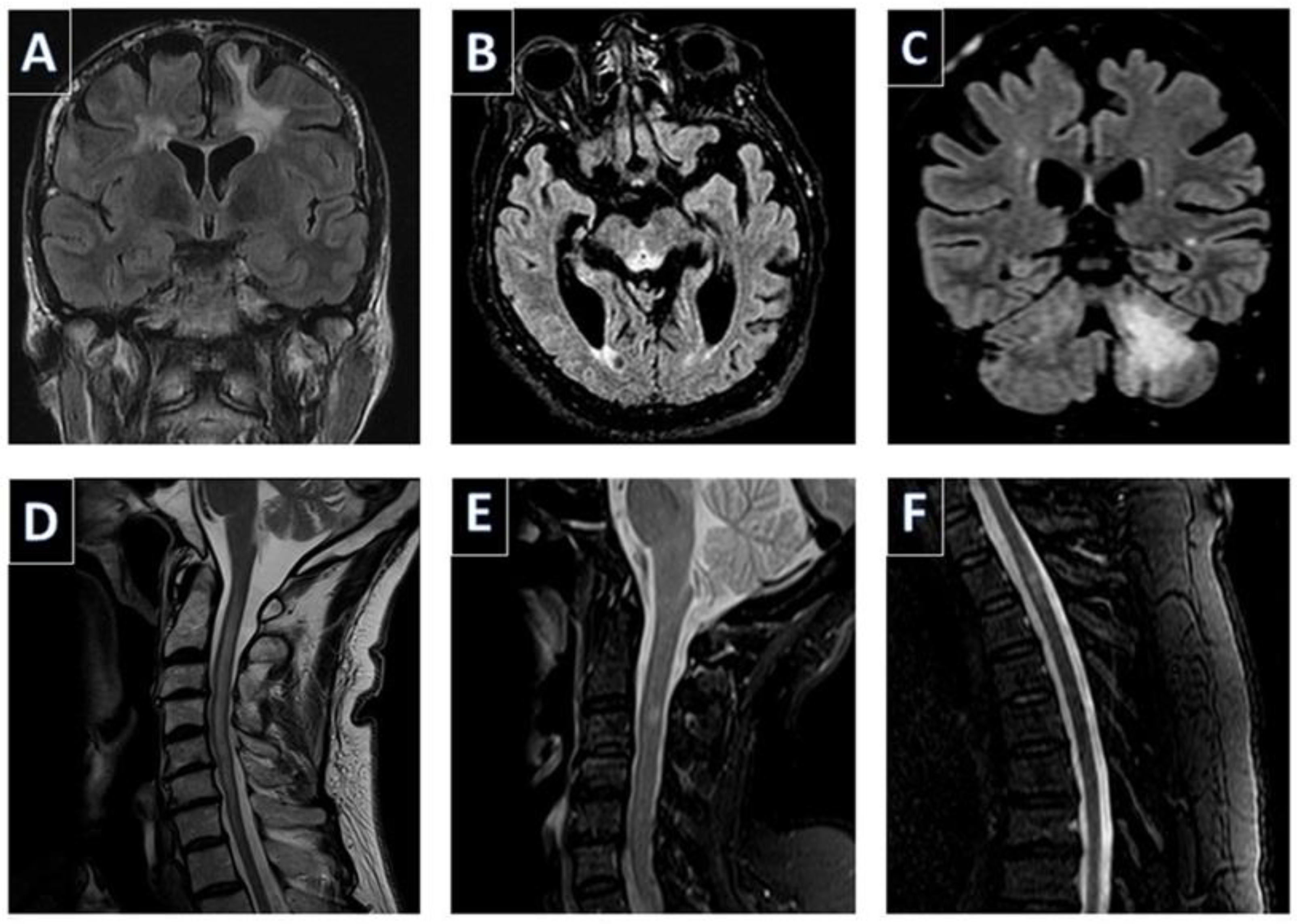 Healthcare 11 02126 g001