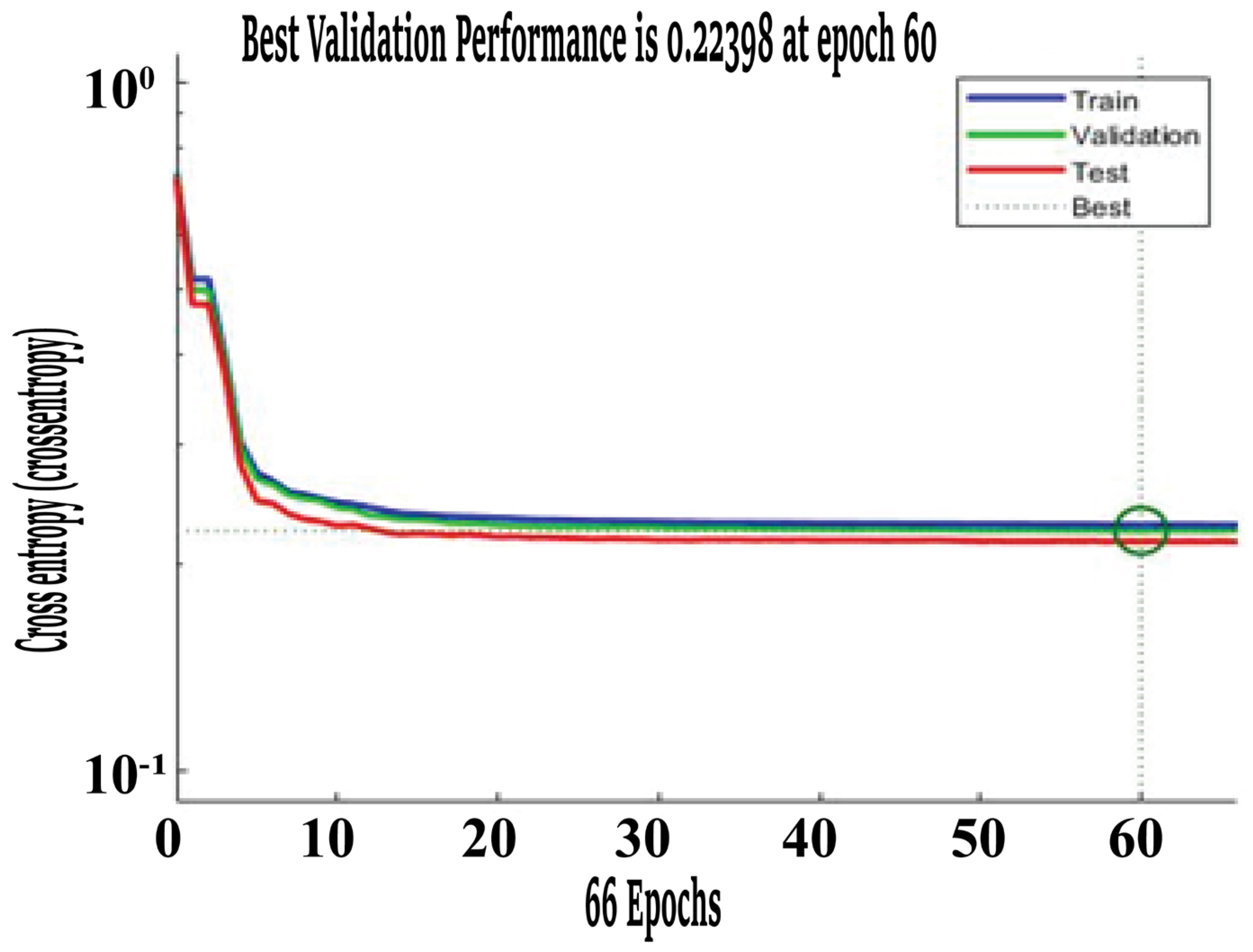 Healthcare 11 02176 g003 Healthcare 11 02176 g003