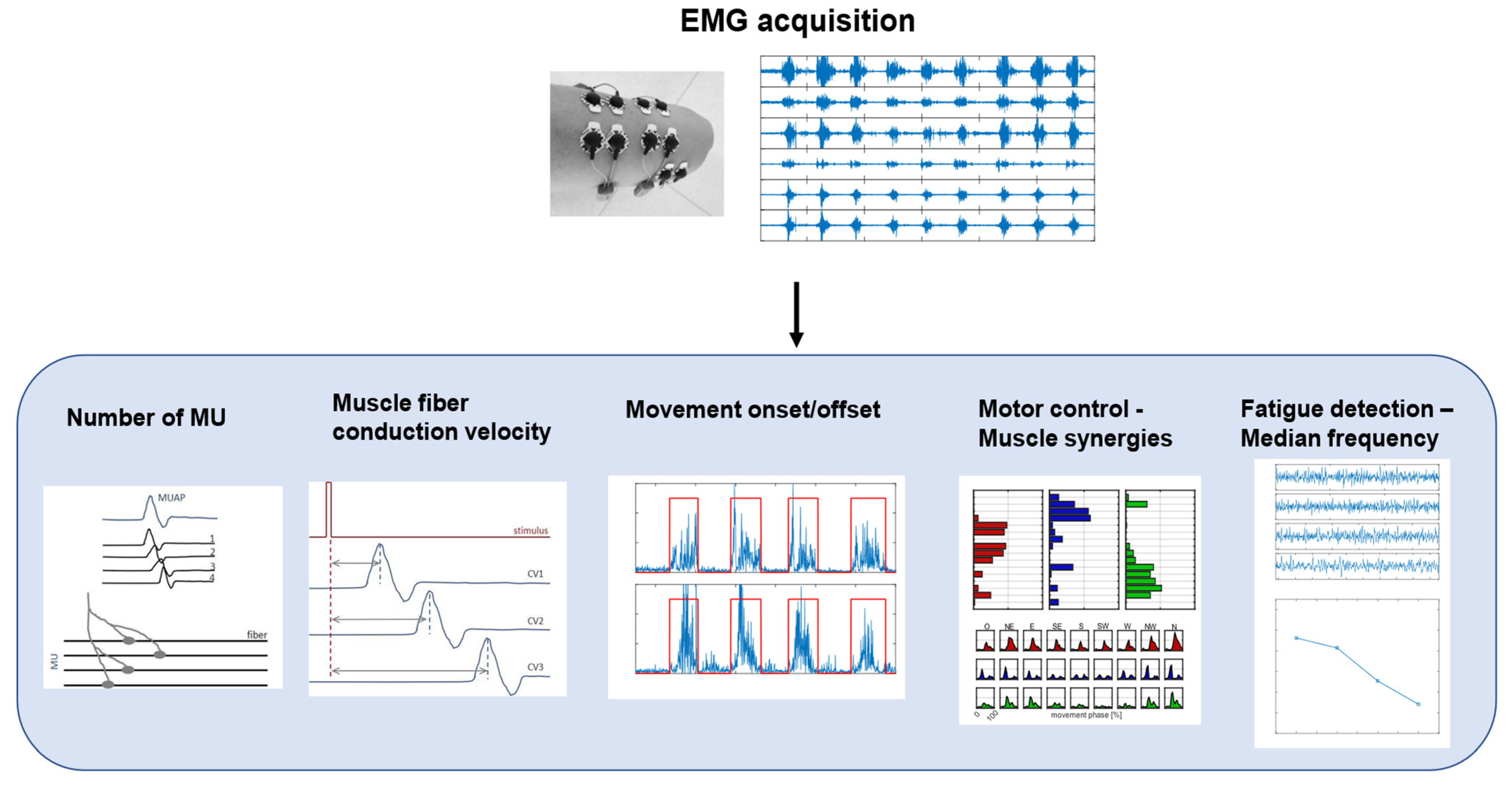 Healthcare 11 02282 g003