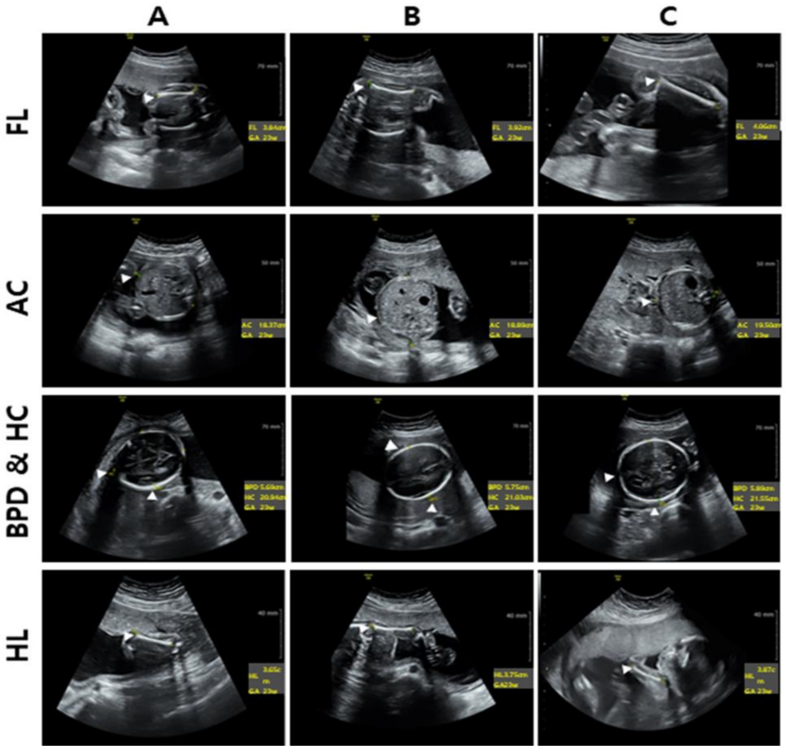 Healthcare 11 02325 g003