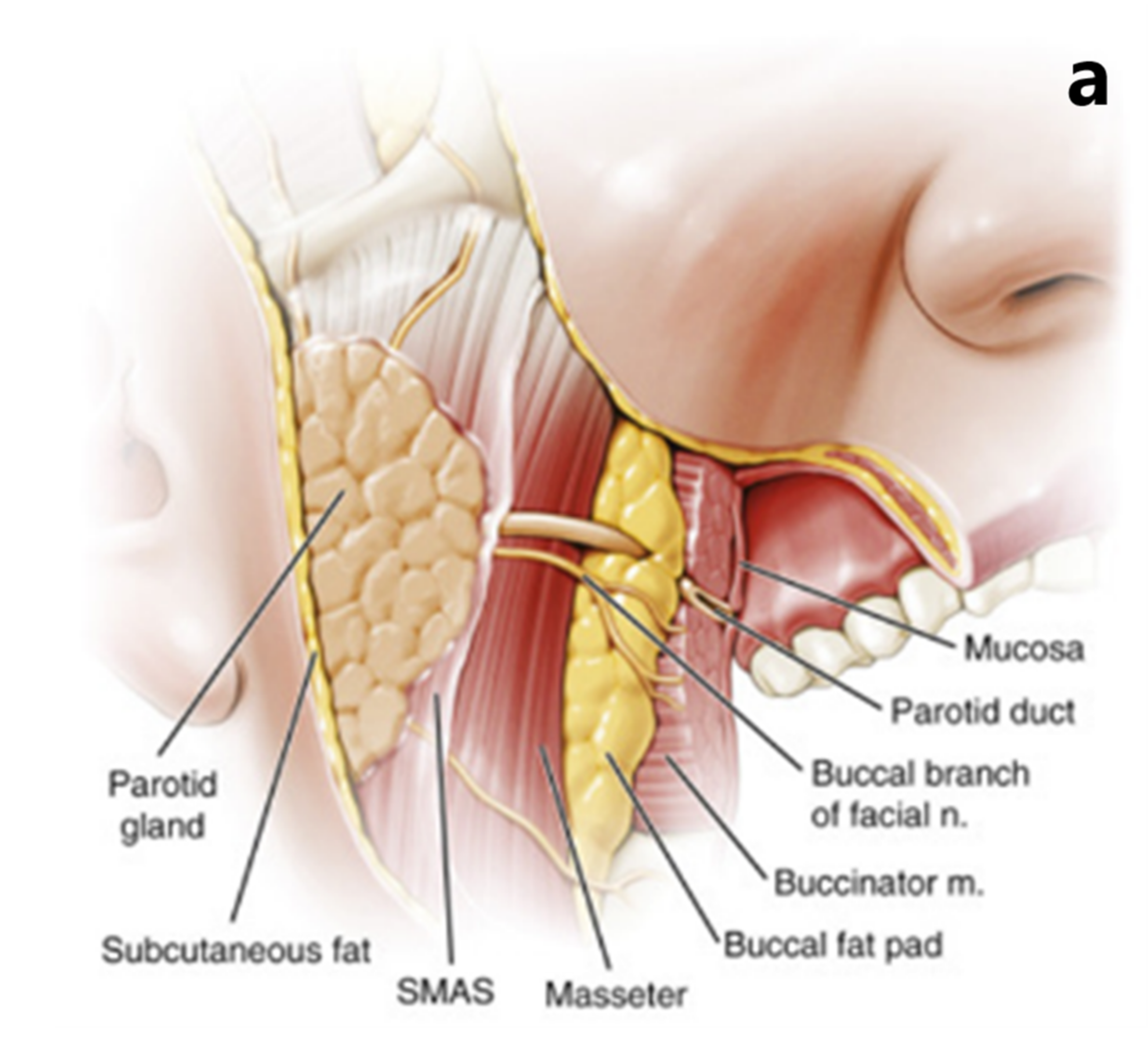 Healthcare 11 02523 g001a