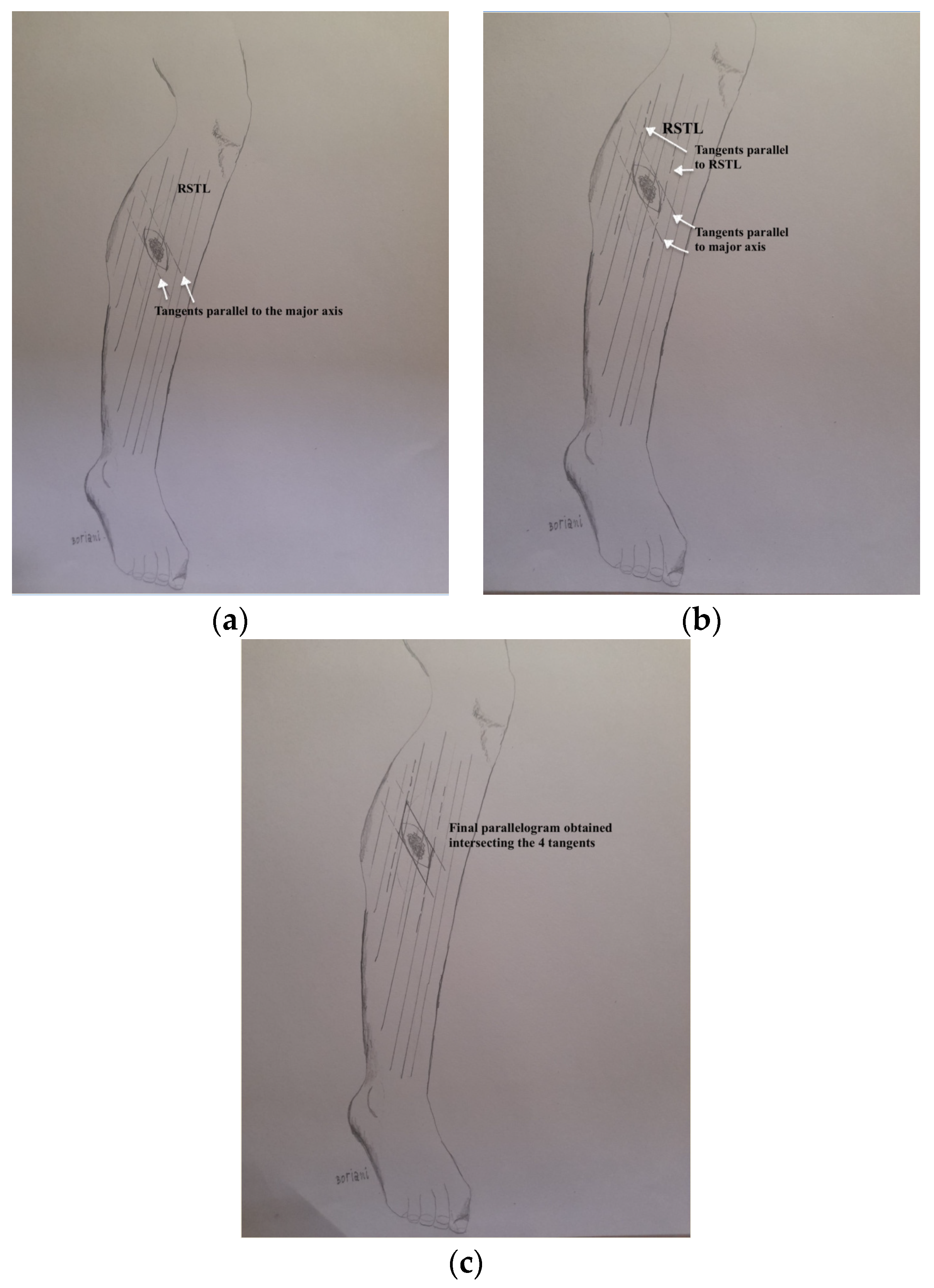 Healthcare 11 02624 g002