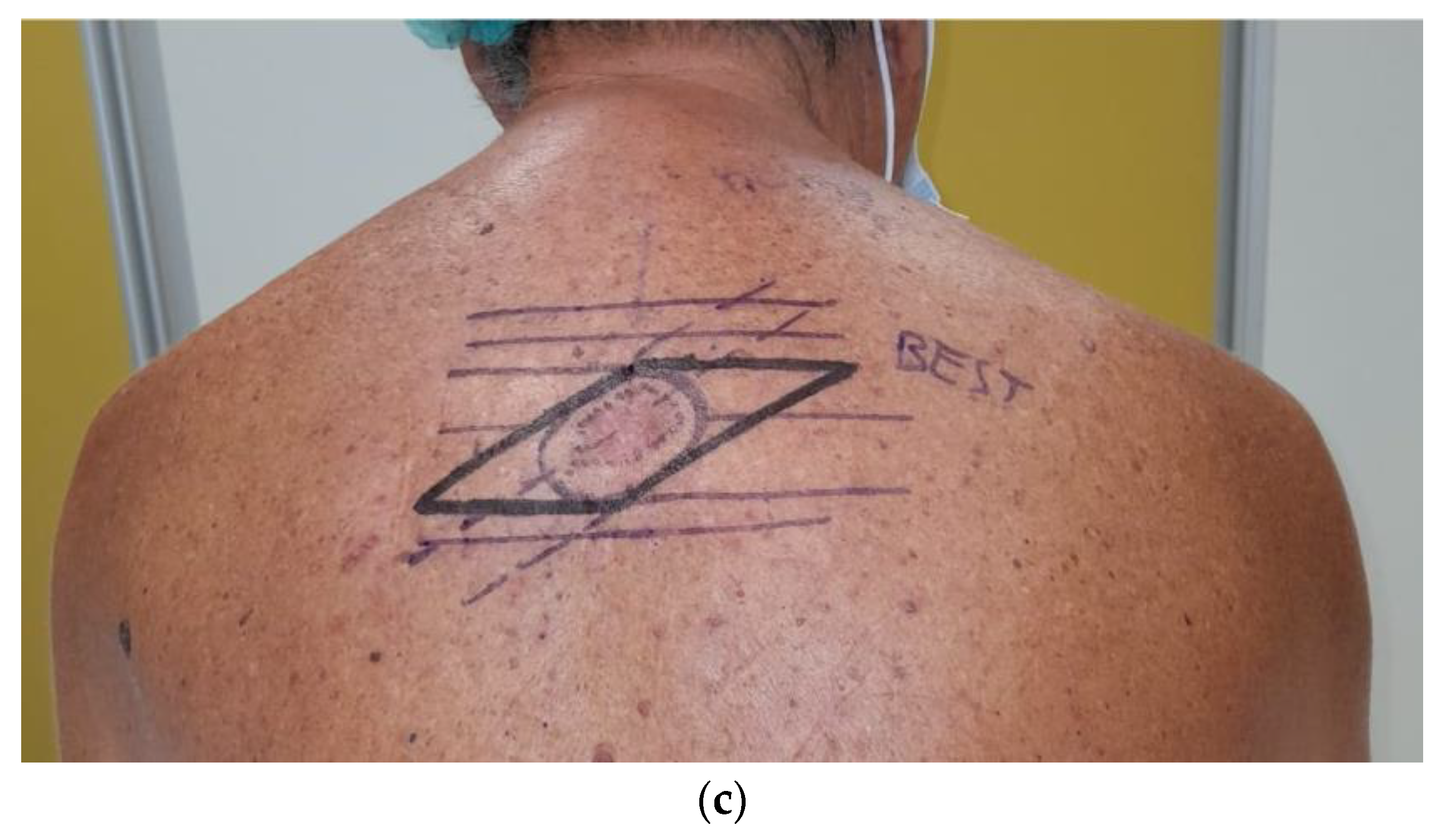 Healthcare 11 02624 g003b