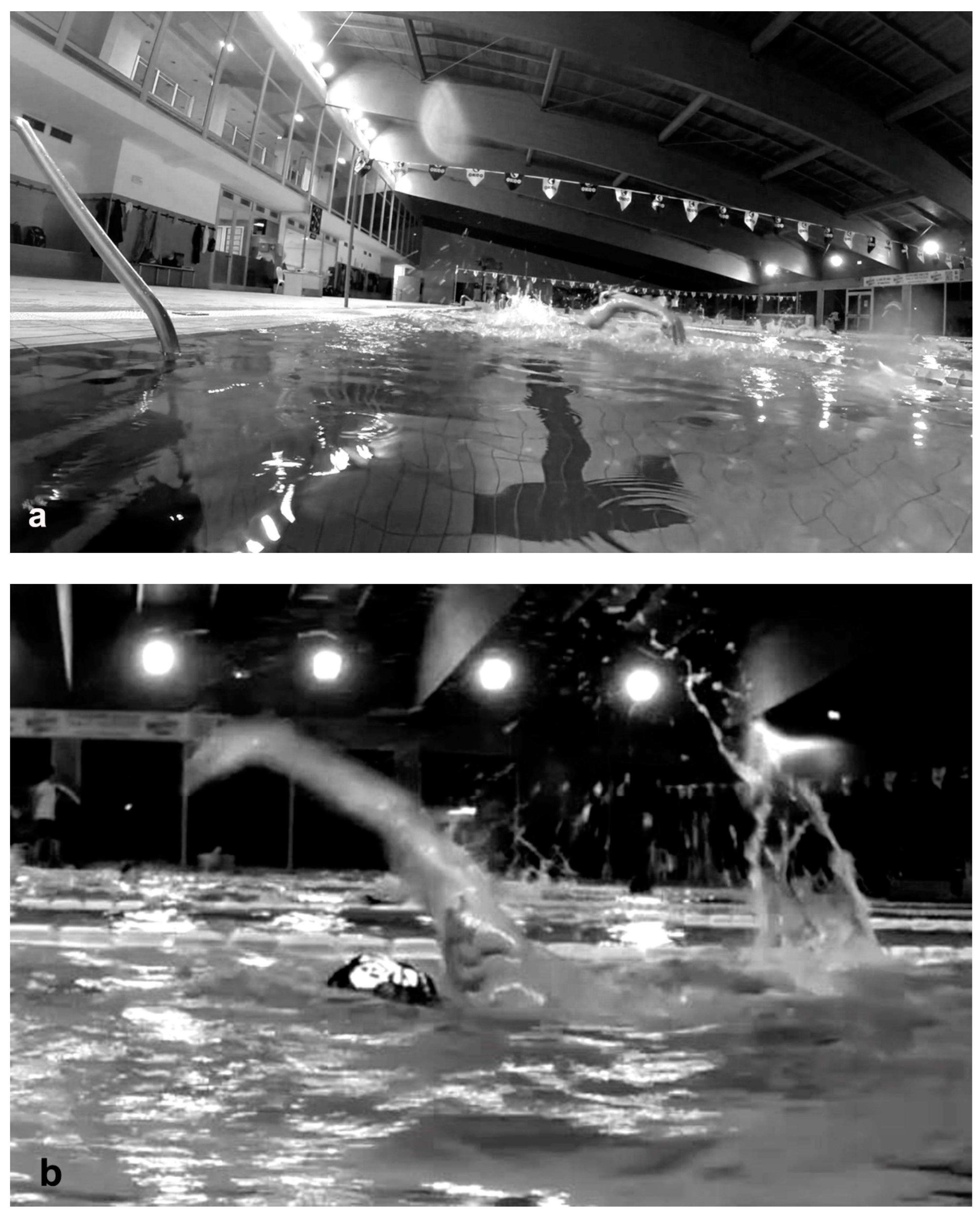 Healthcare 11 02638 g005