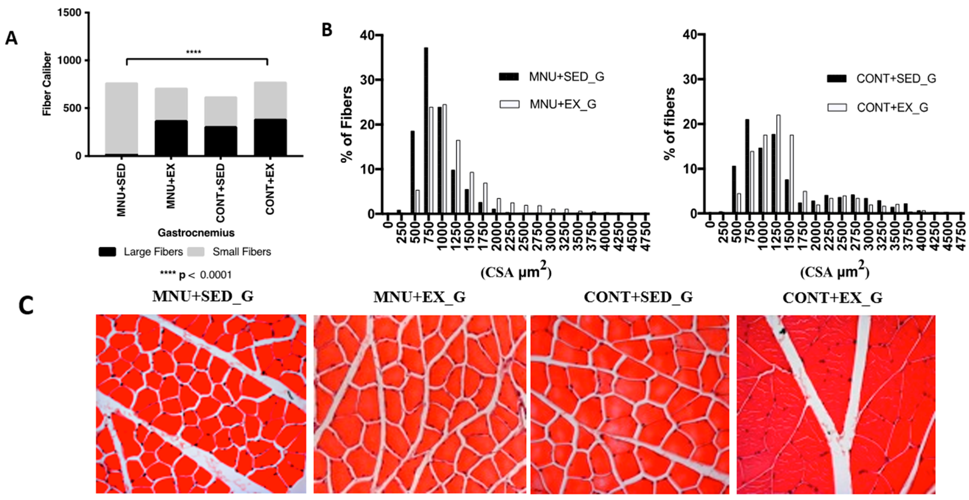 Healthcare 11 02652 g002