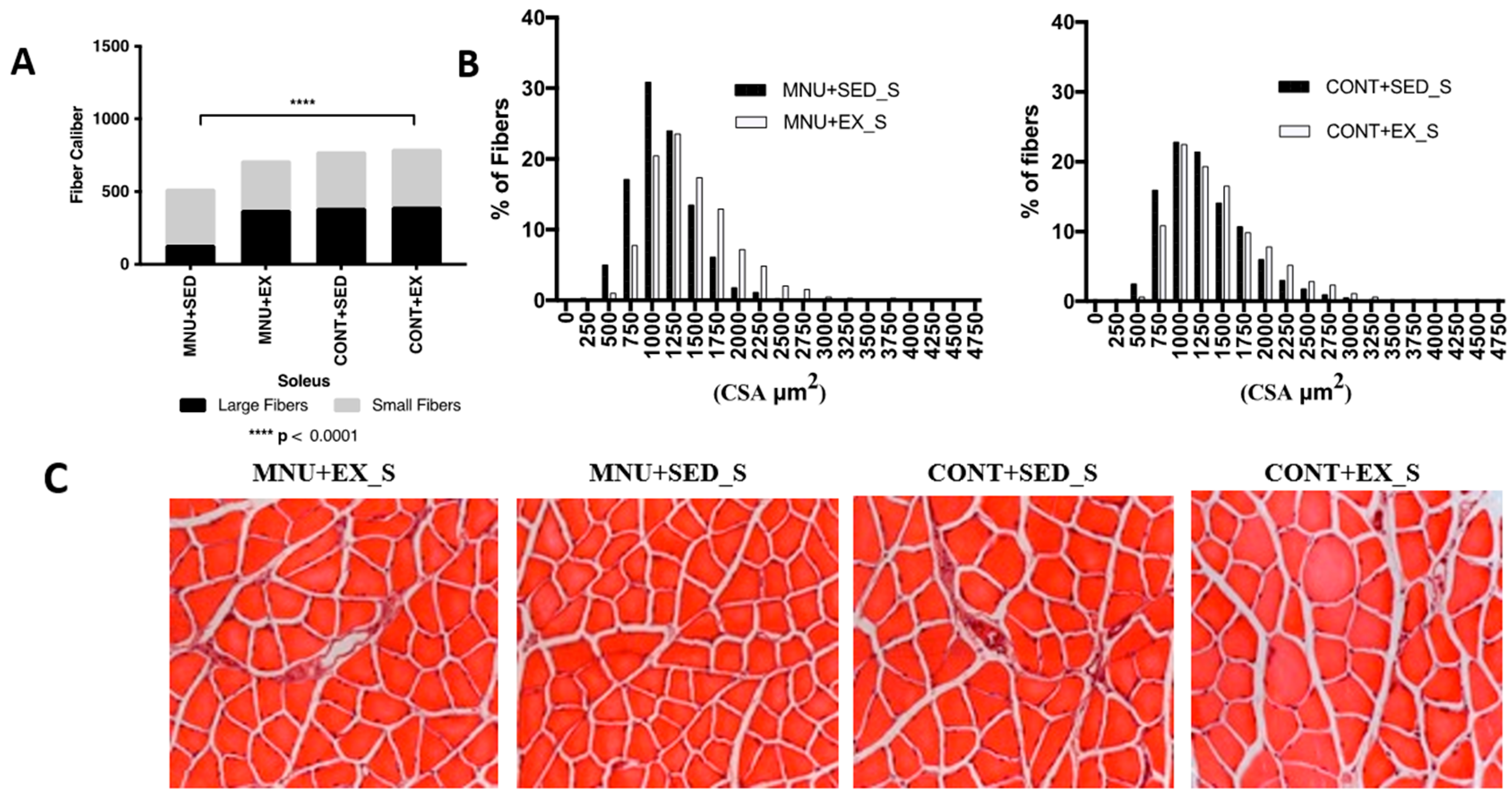 Healthcare 11 02652 g003