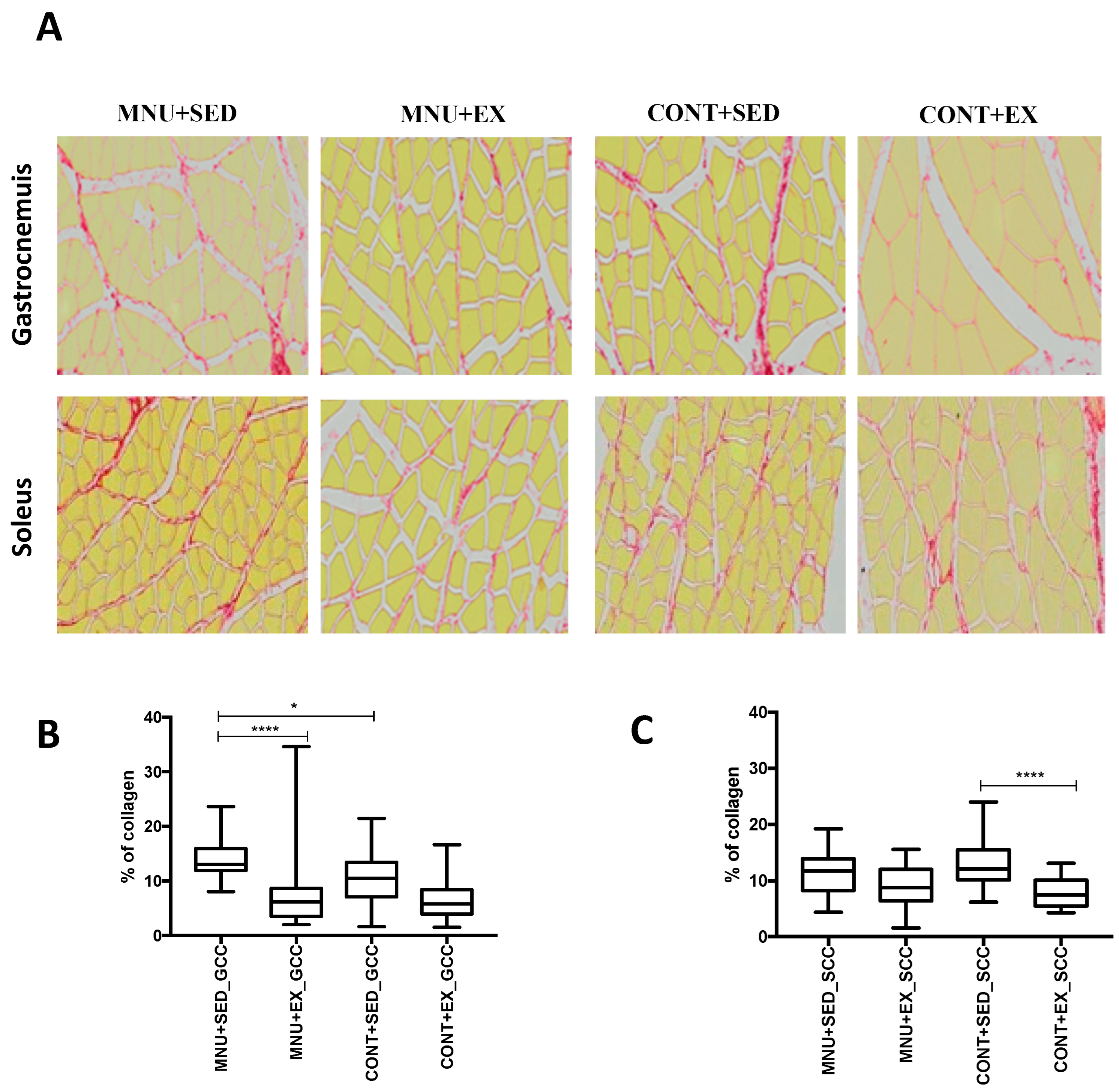 Healthcare 11 02652 g004
