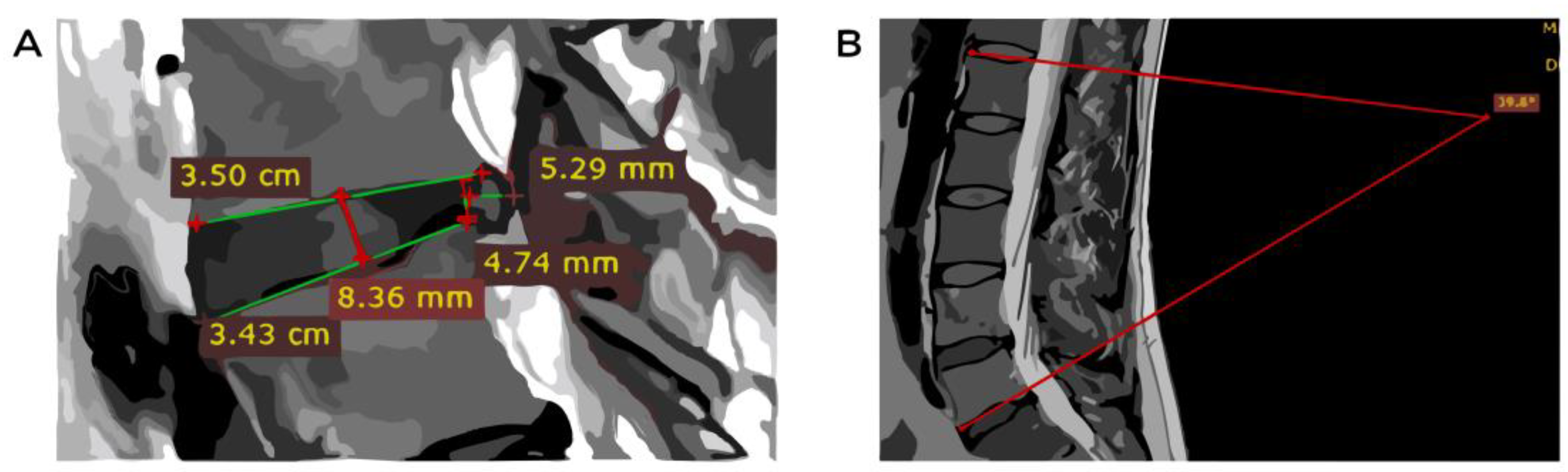 Healthcare 11 02669 g001