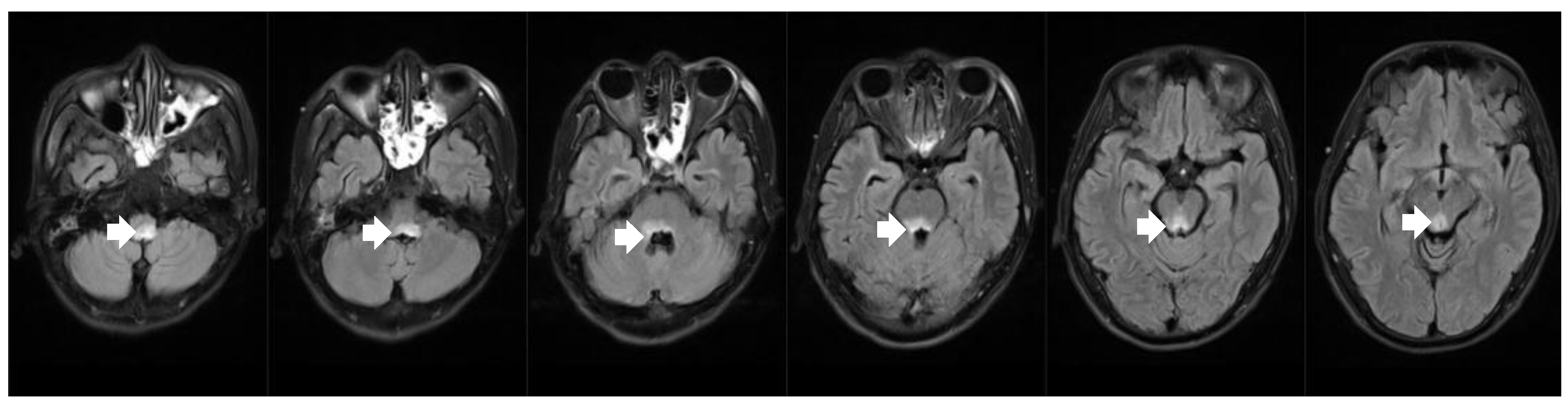 Healthcare 11 02810 g003