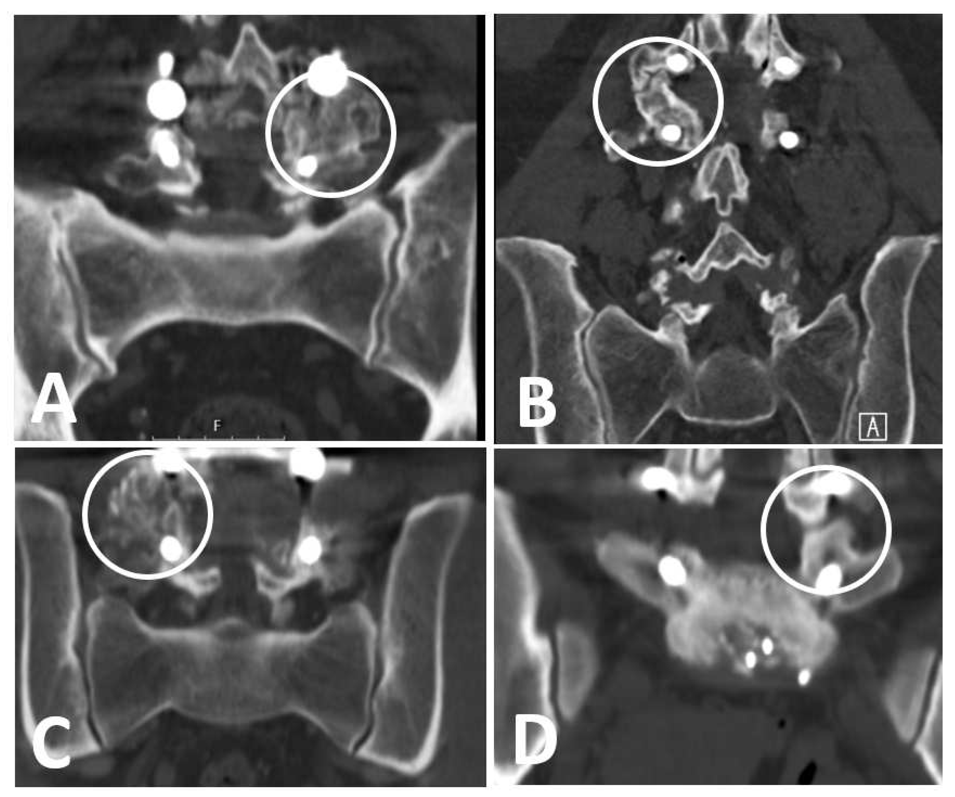 Healthcare 11 02814 g002