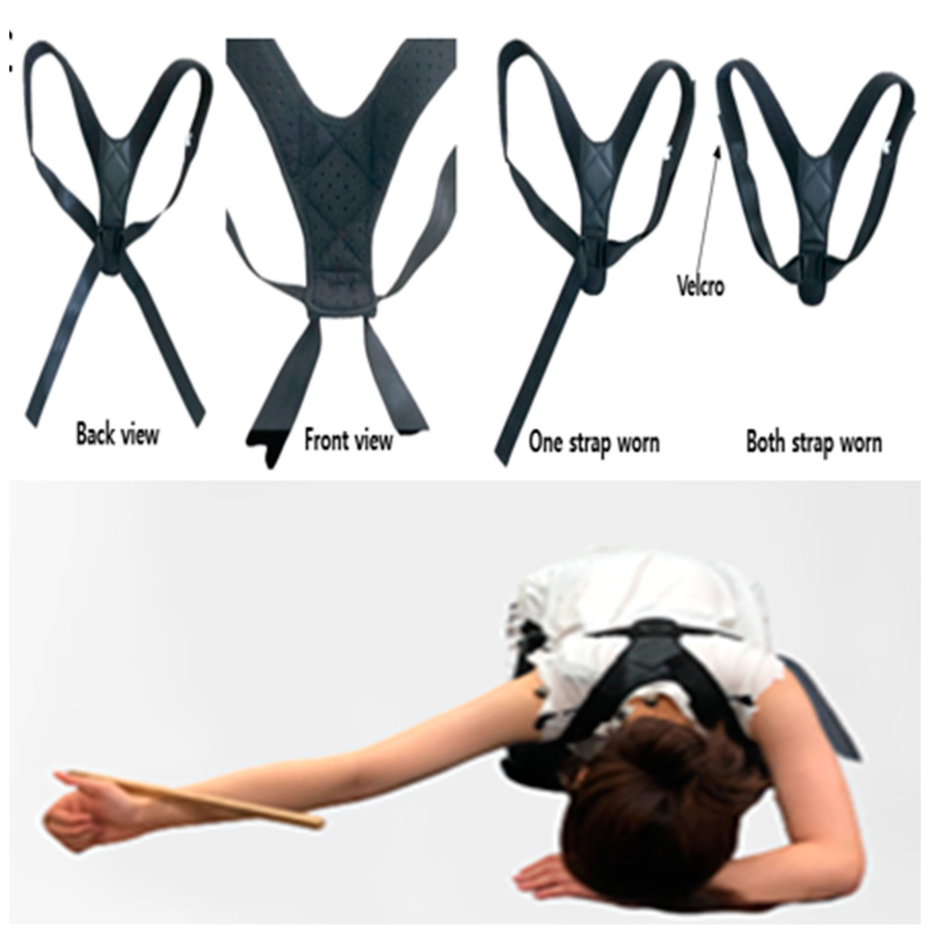 Healthcare 11 02832 g002