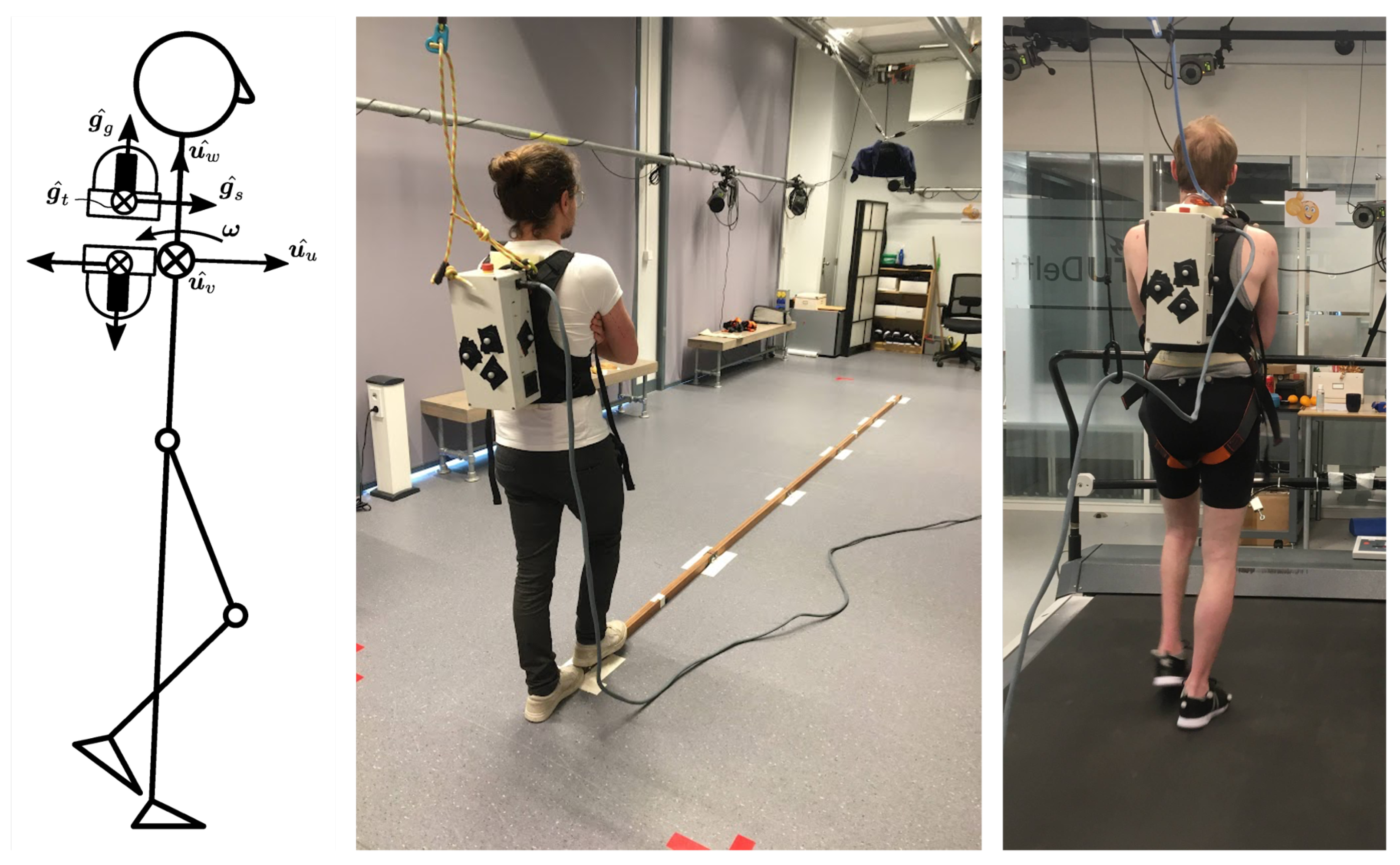 Healthcare 11 02841 g001