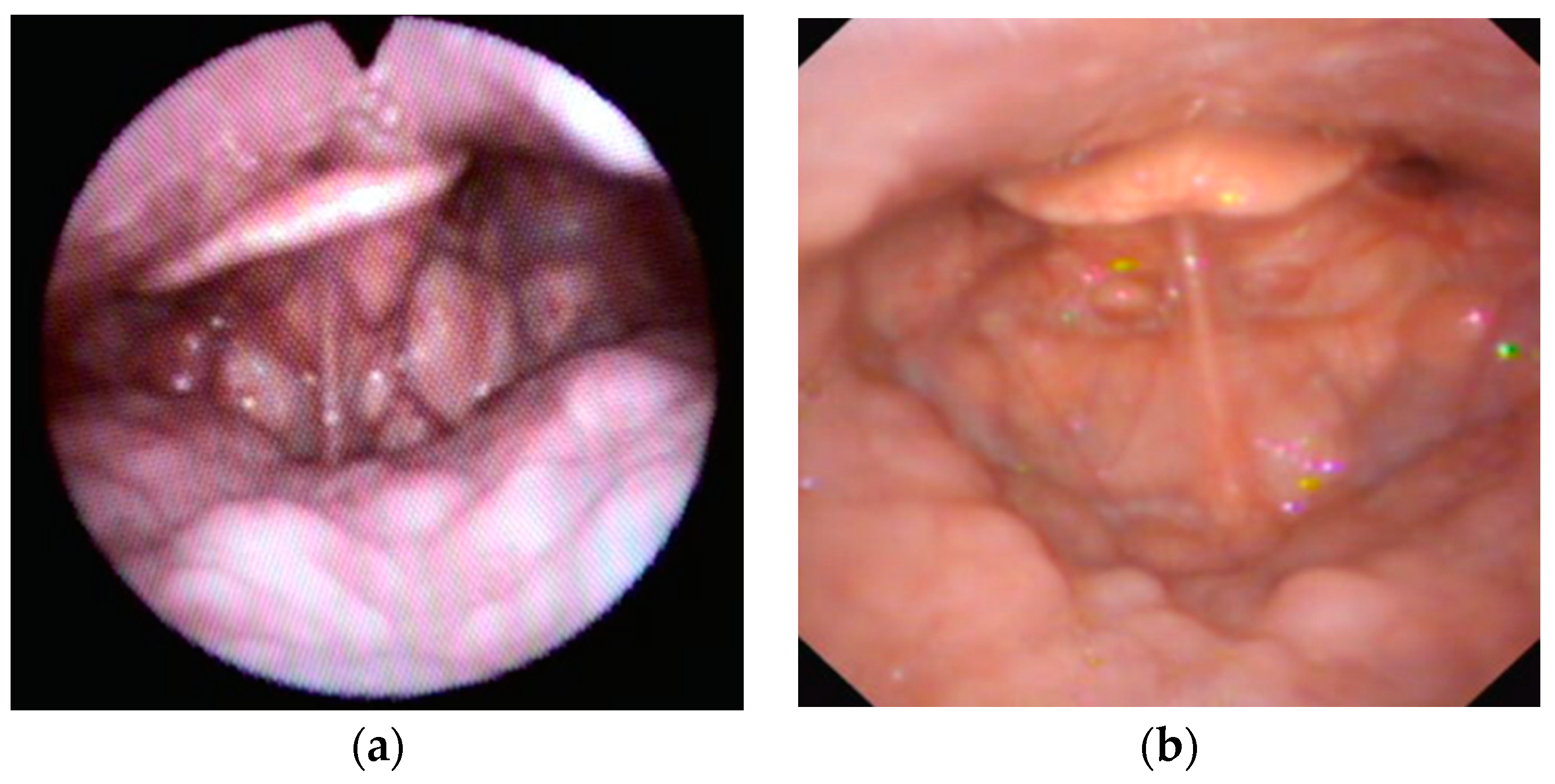 Healthcare 11 02874 g002
