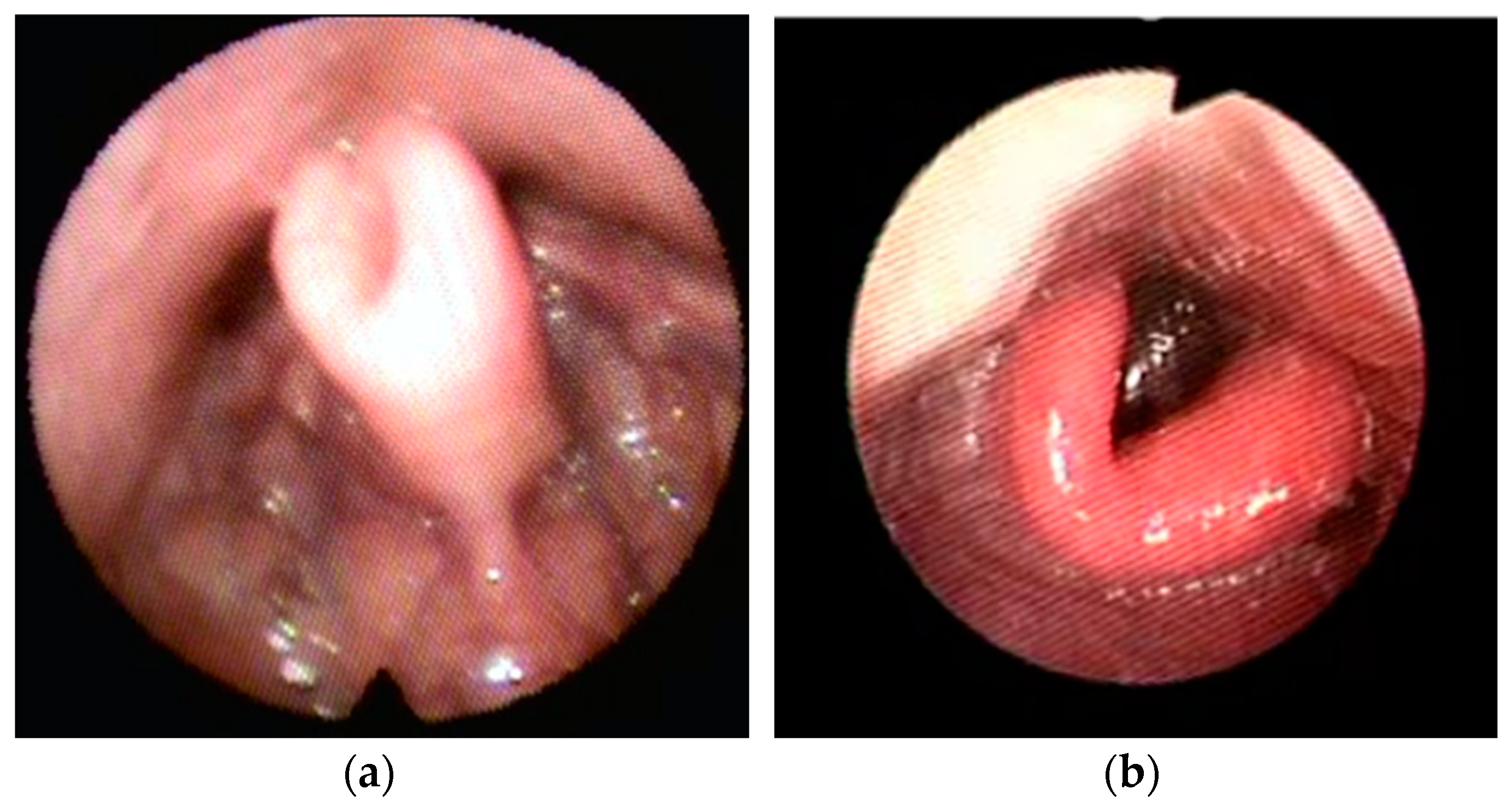 Healthcare 11 02874 g003