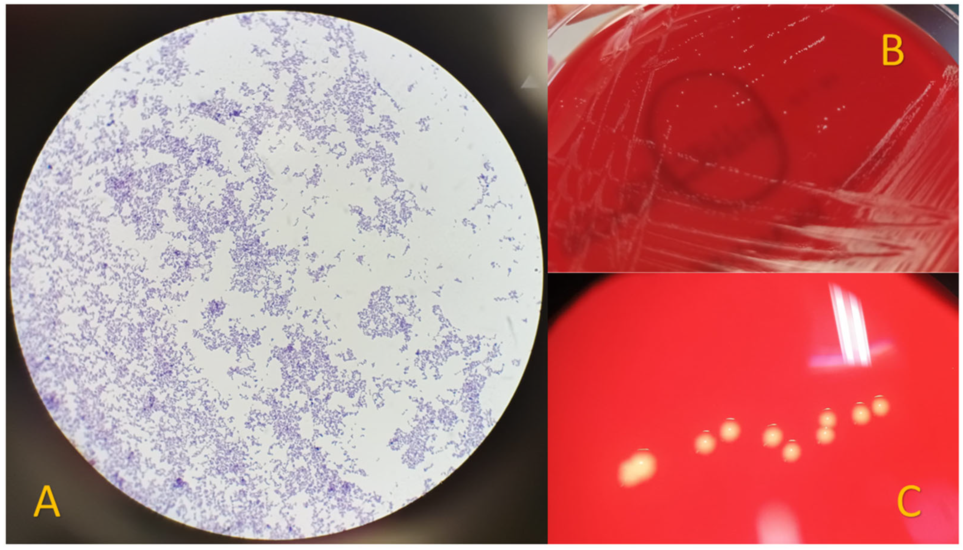 Healthcare 11 02879 g002