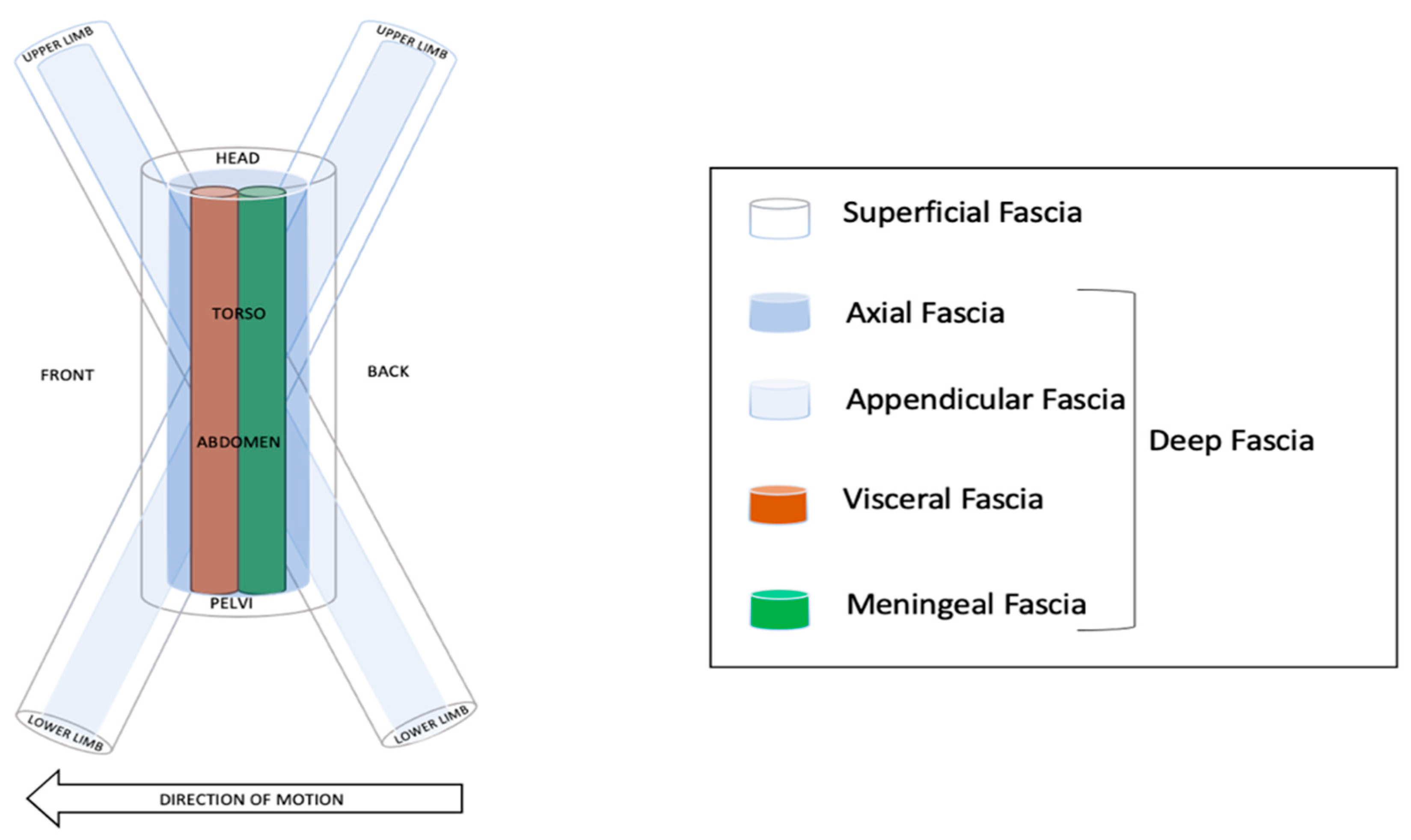 Healthcare 11 02886 g006