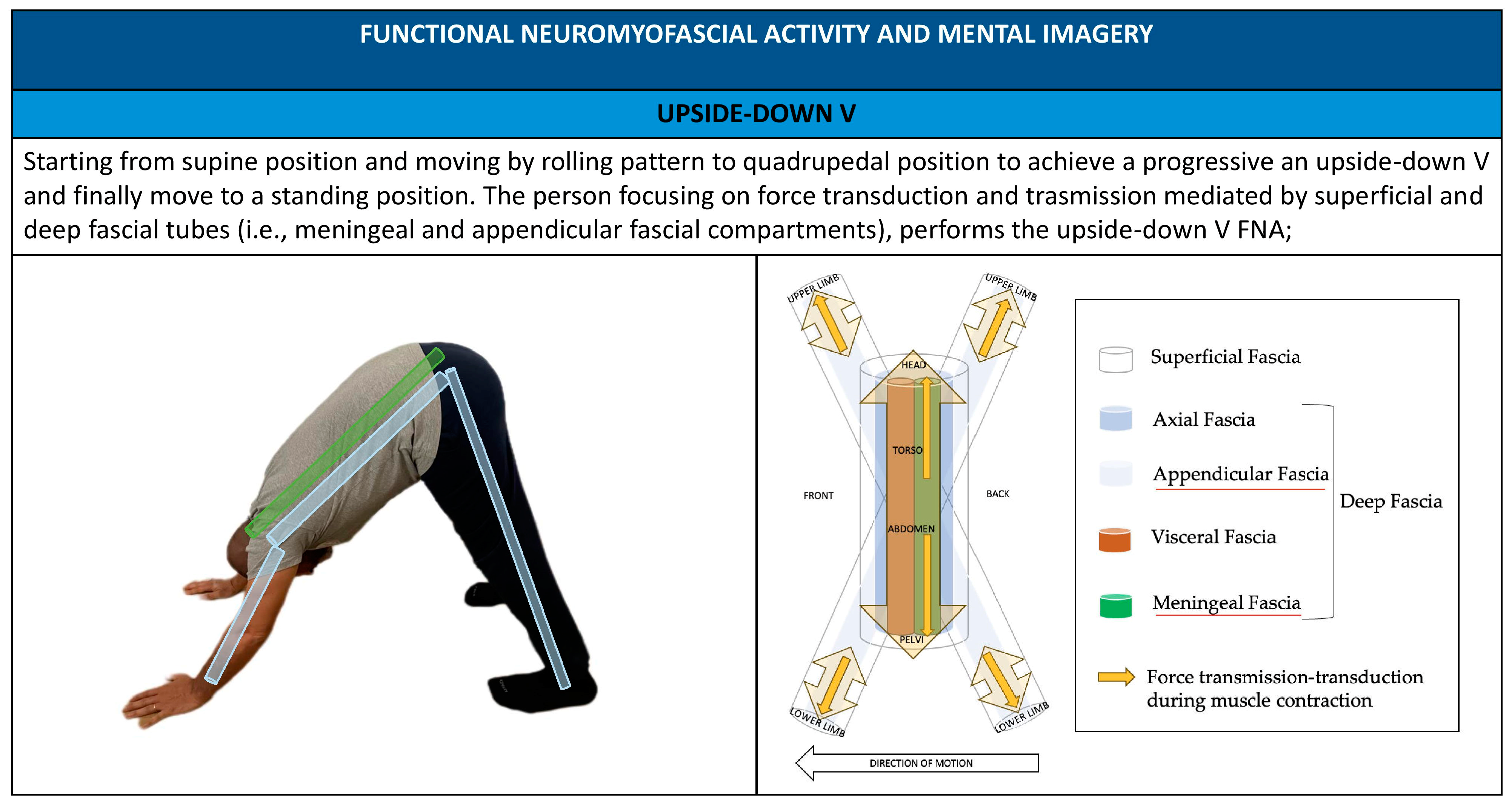 Healthcare 11 02886 g007