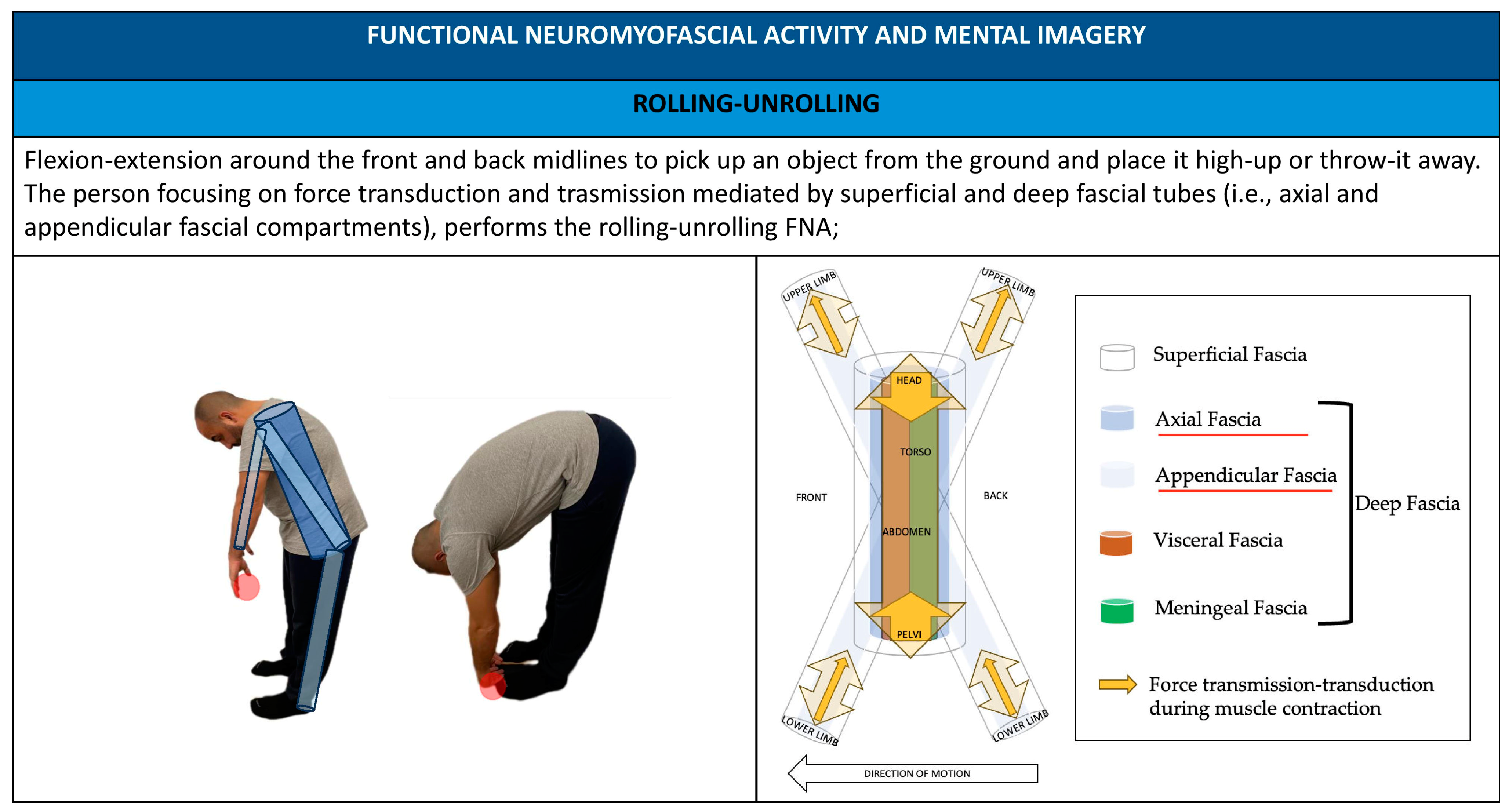 Healthcare 11 02886 g009