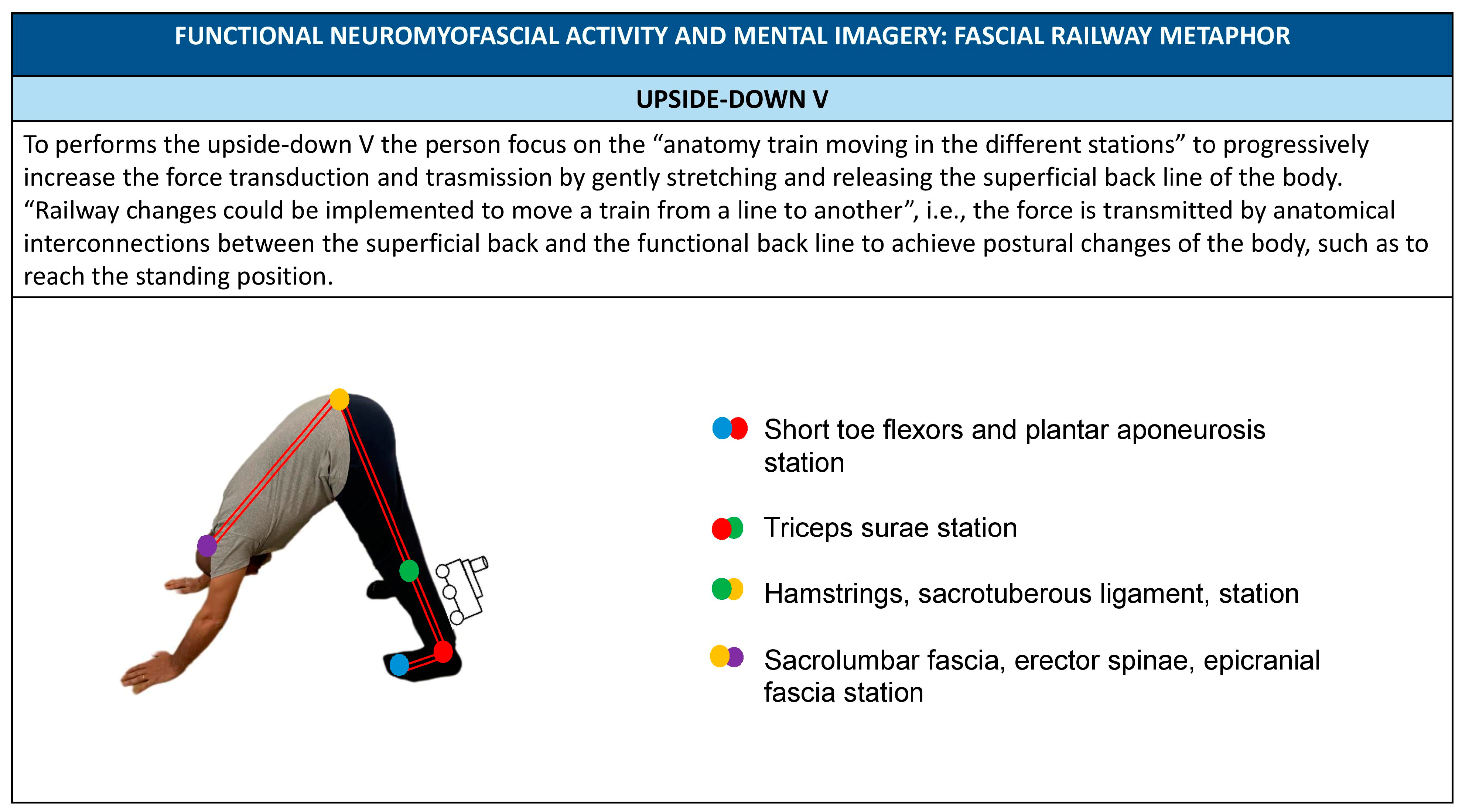 Healthcare 11 02886 g012