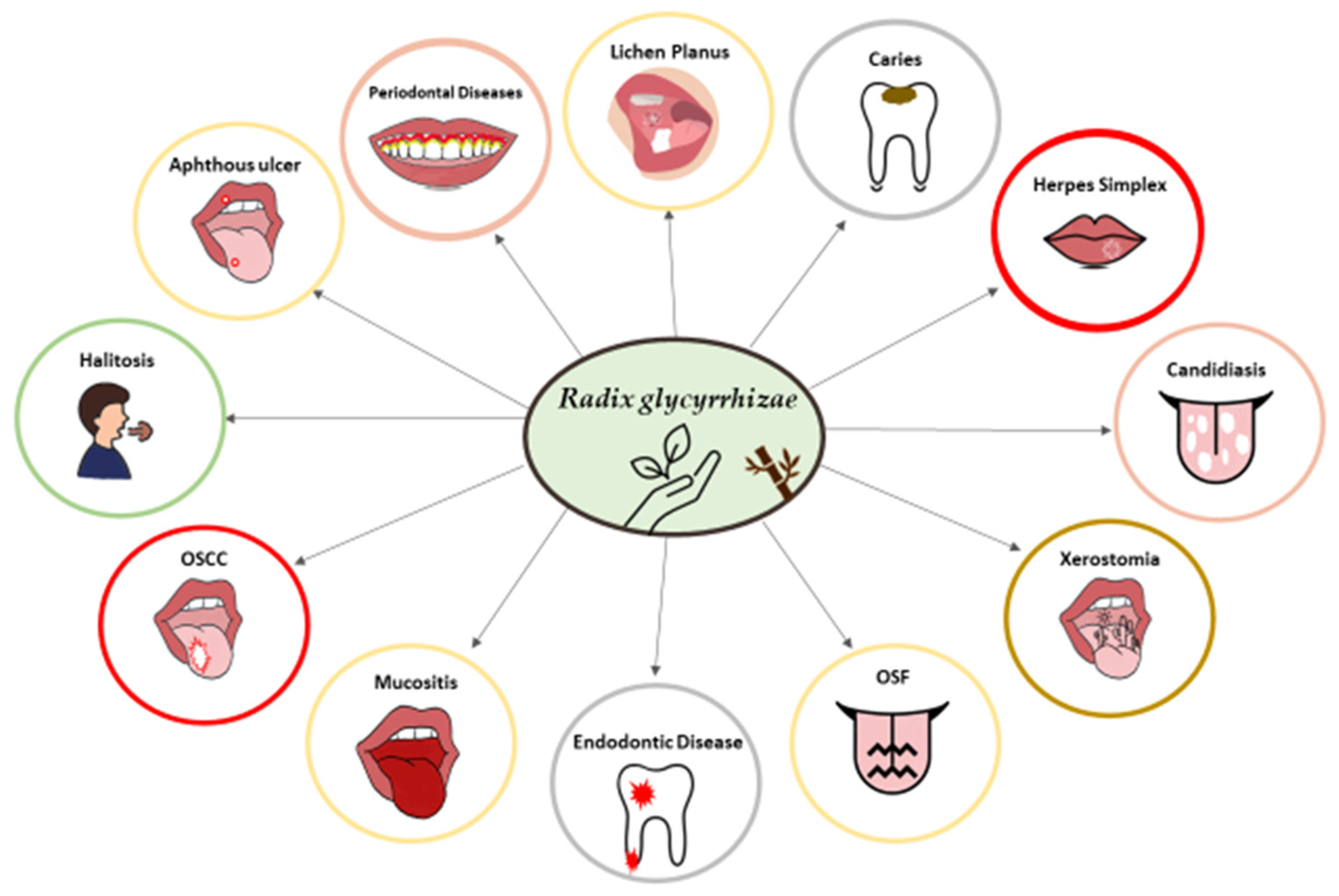 Healthcare 11 02887 g001