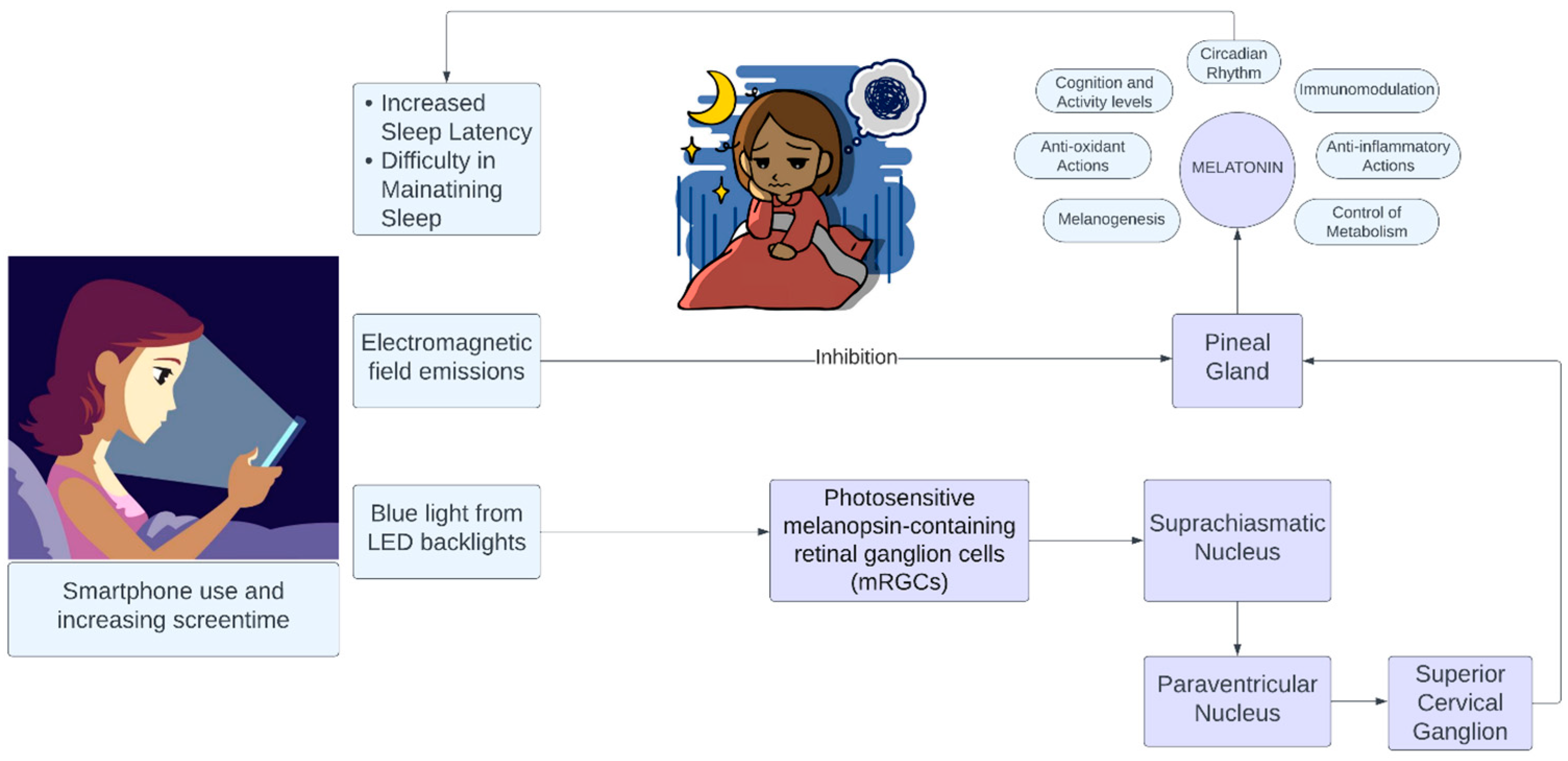 Healthcare 11 02891 g001