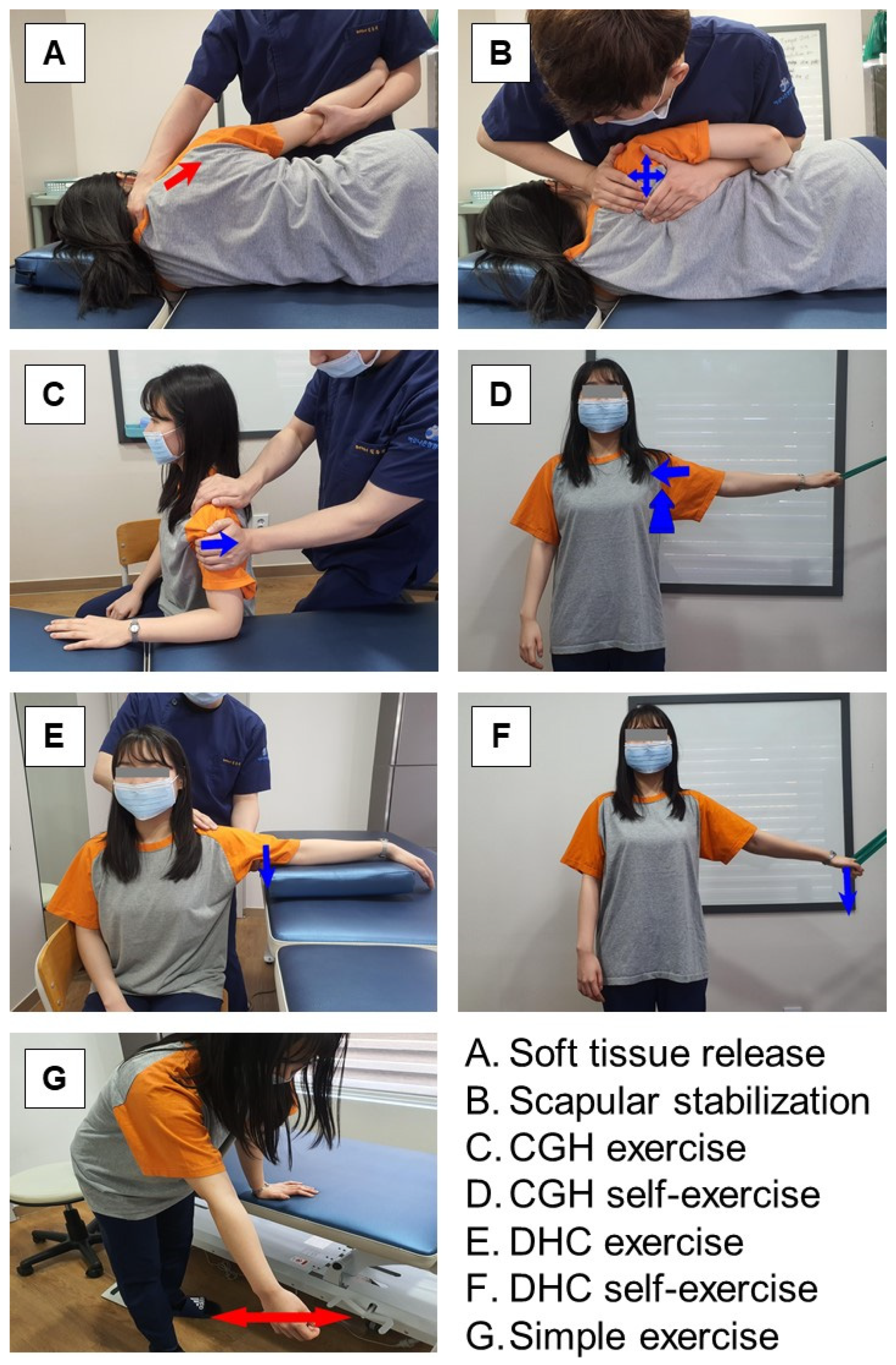 Healthcare 11 02914 g002