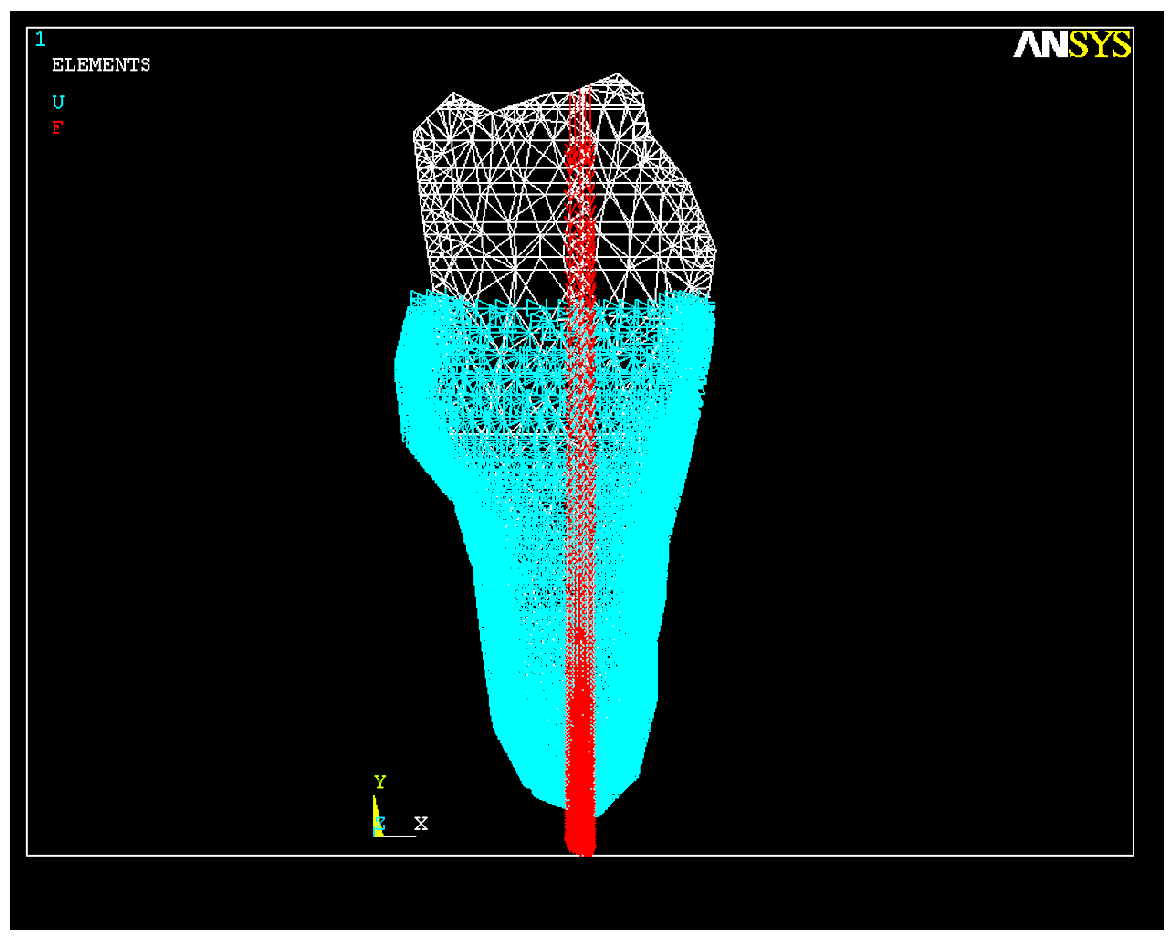 Healthcare 11 02918 g006