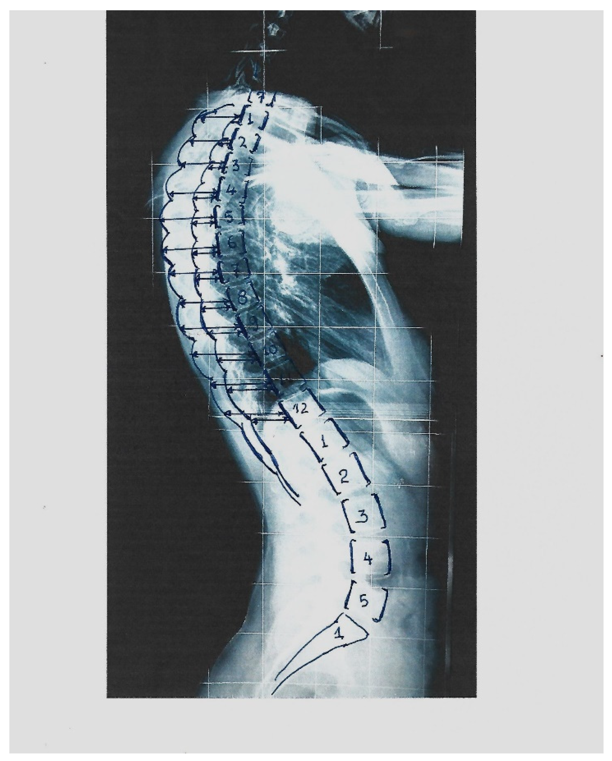 Healthcare 11 03004 g002