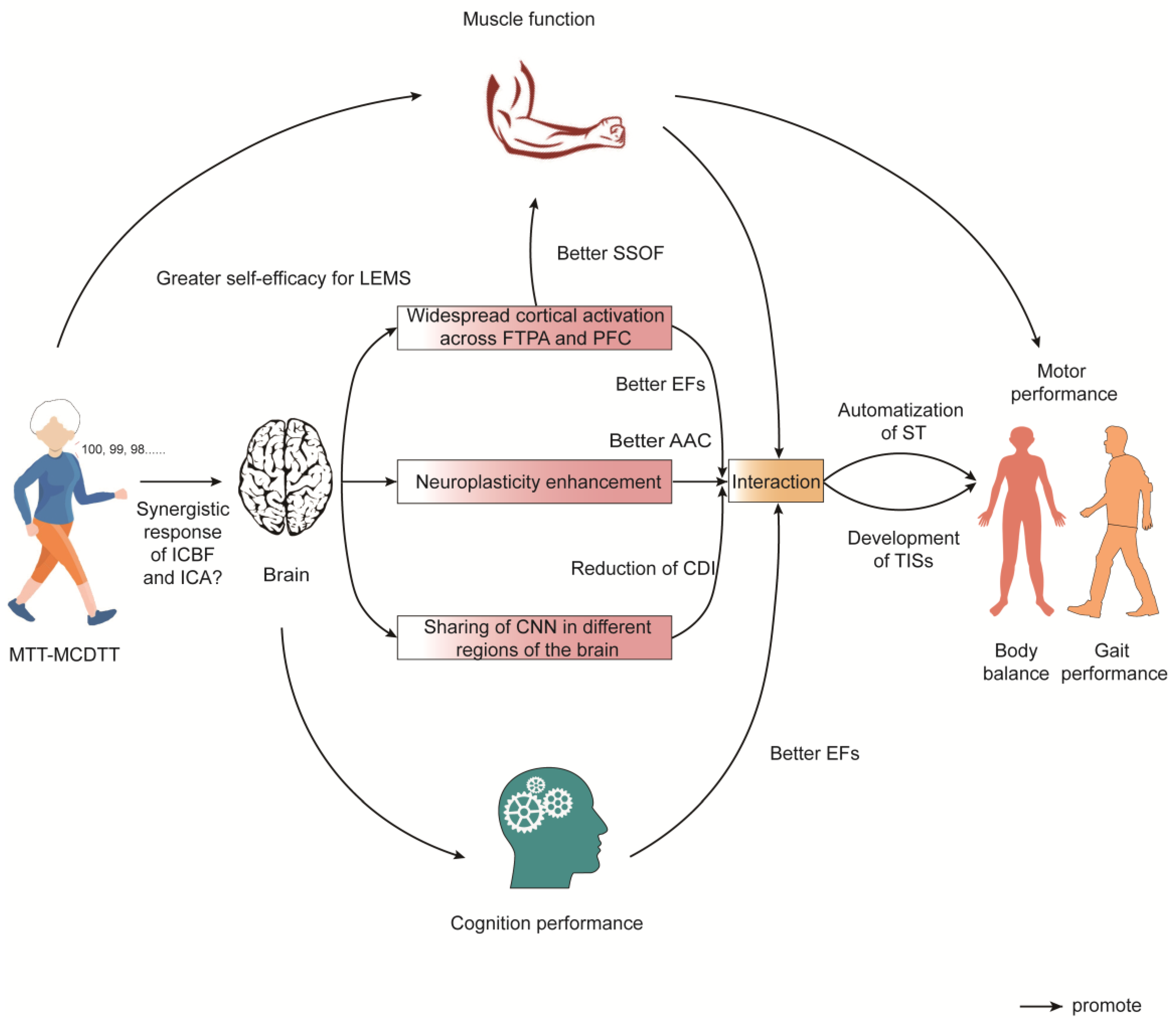 Healthcare 11 03012 g002 Healthcare 11 03012 g002
