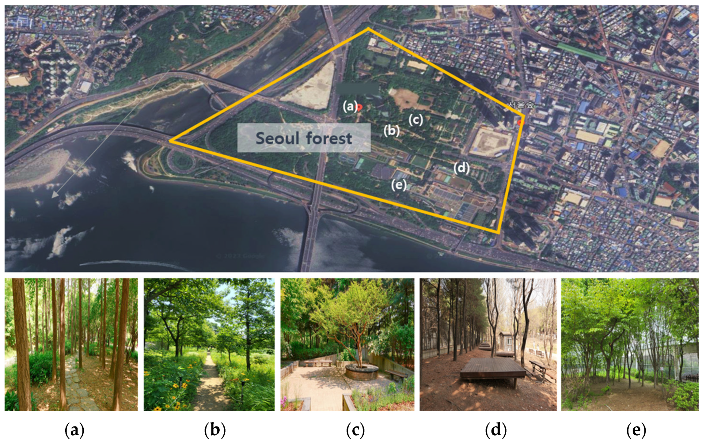 Healthcare 11 03039 g001