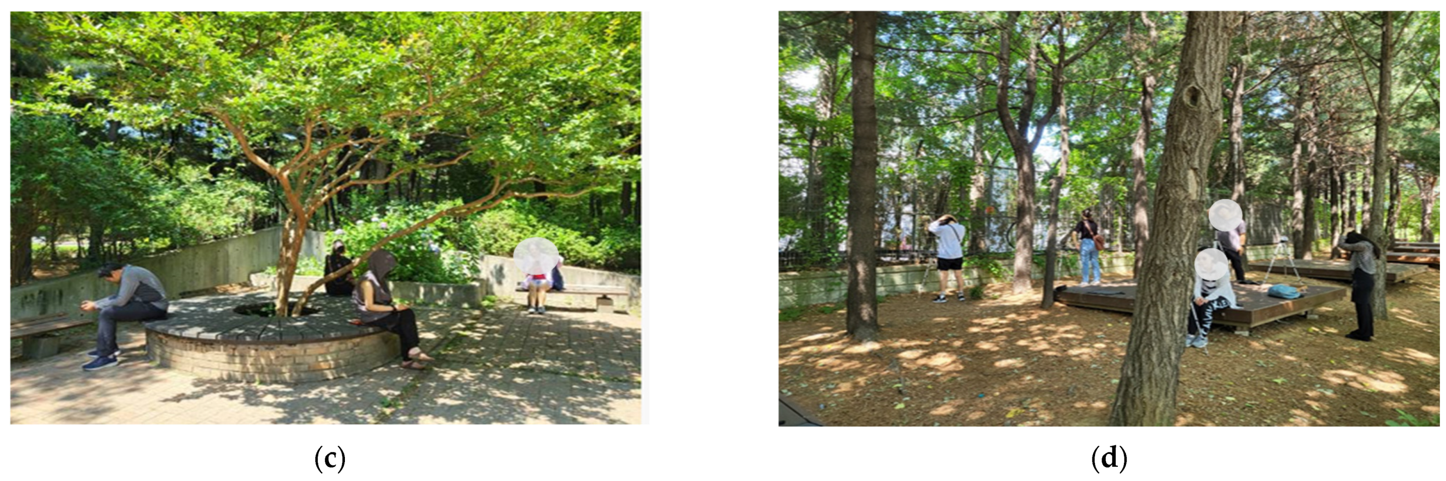 Healthcare 11 03039 g002b