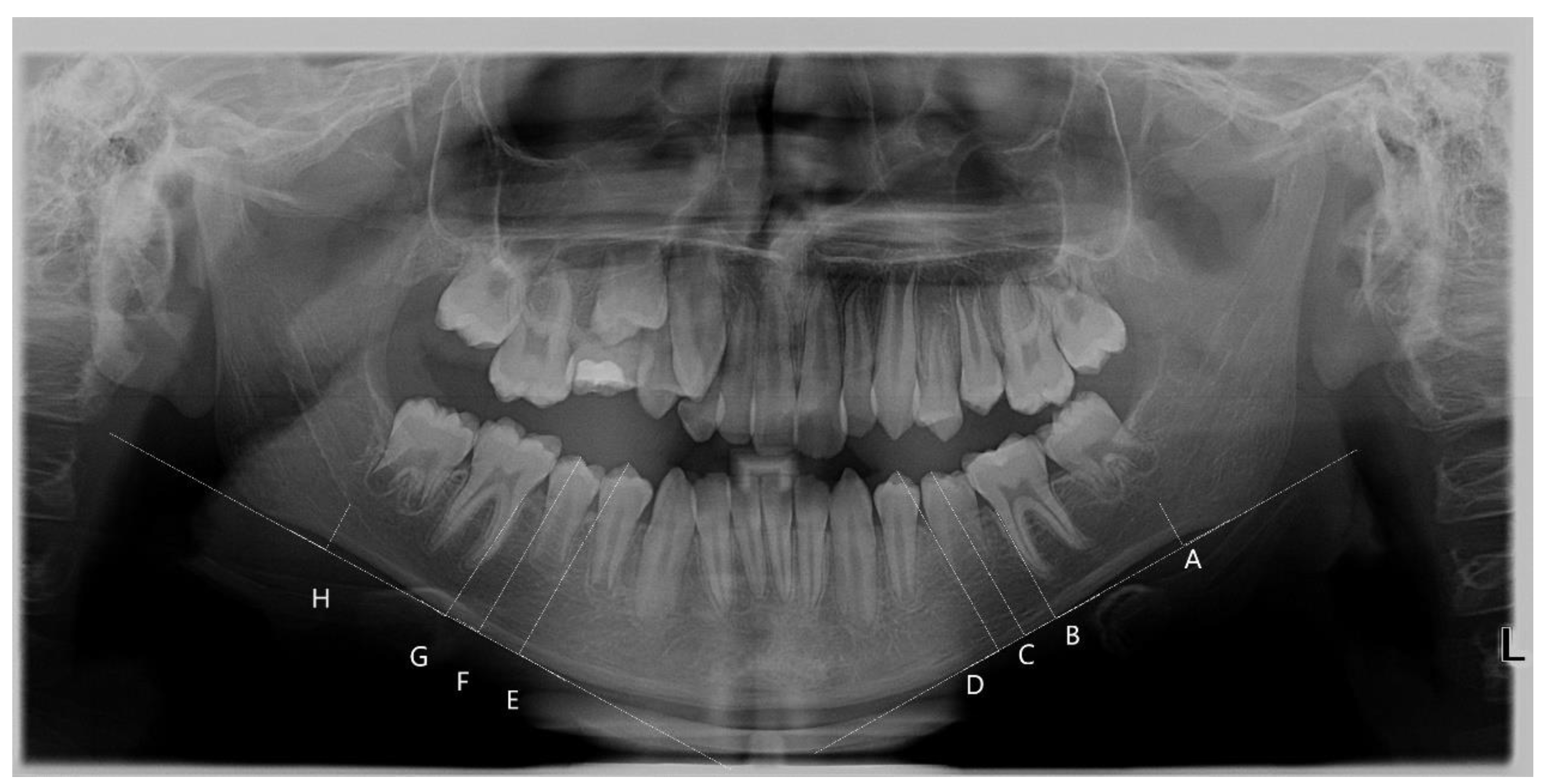 Healthcare 11 03105 g001