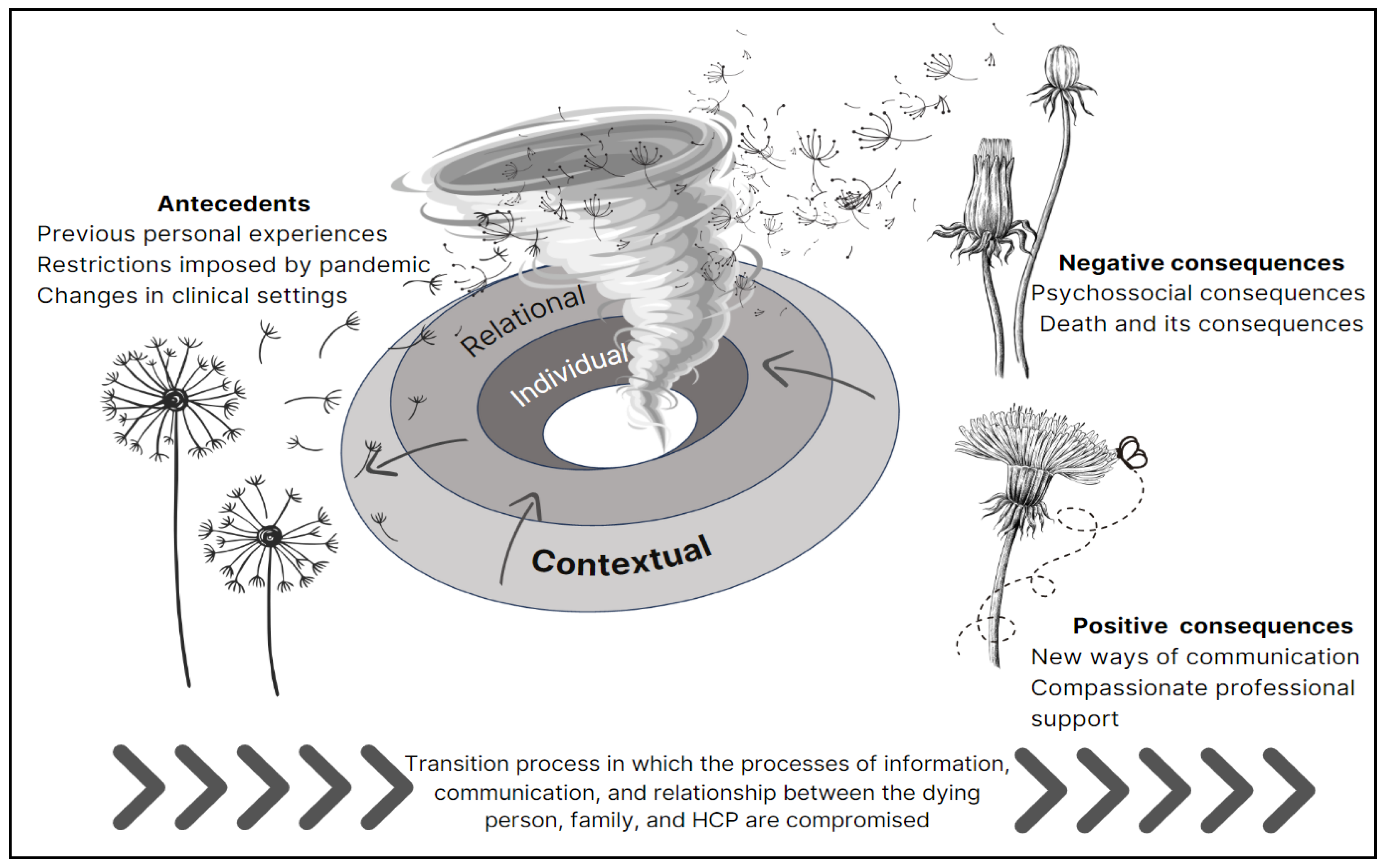 Healthcare 12 00188 g002