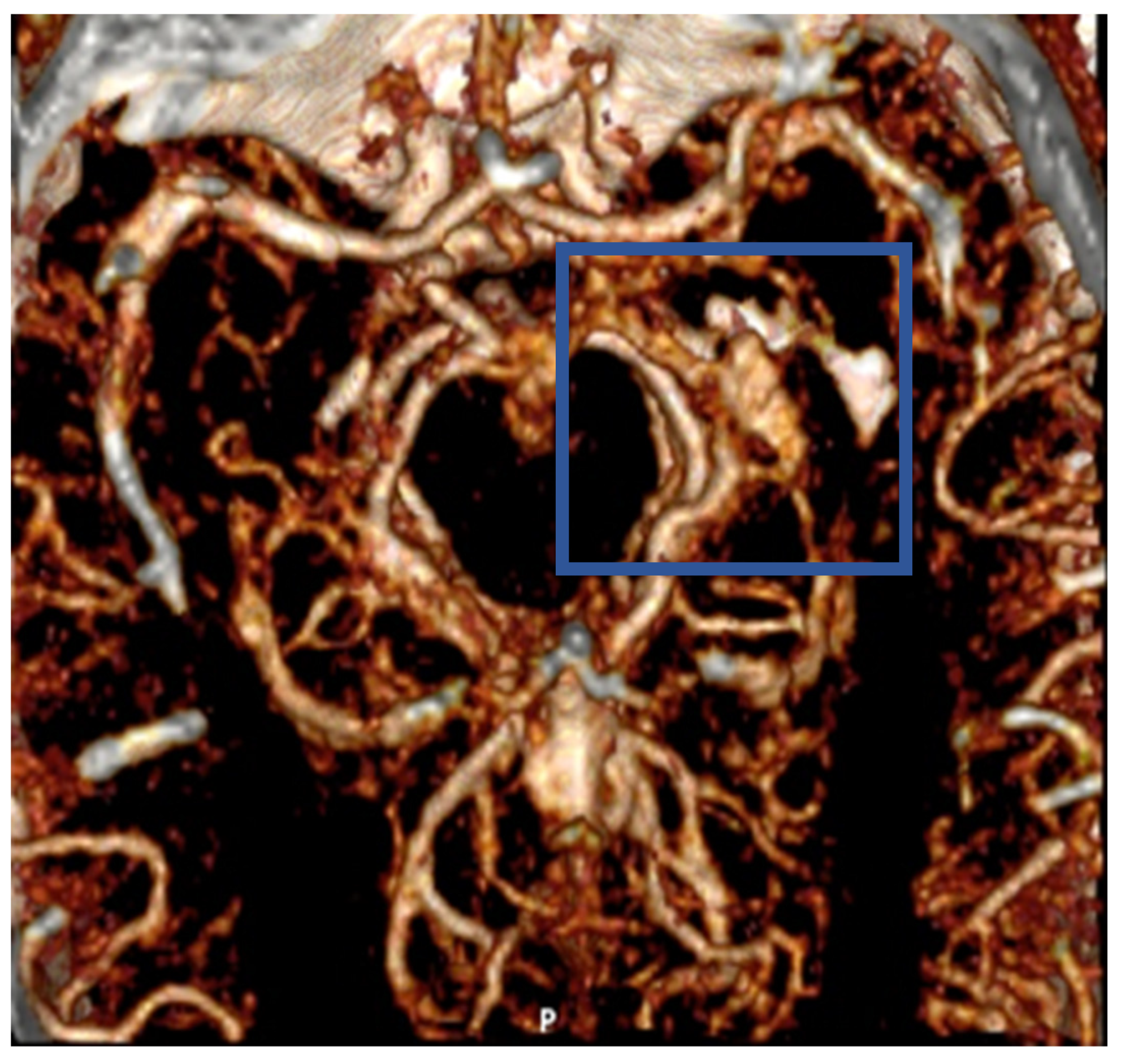 Healthcare 12 00192 g001