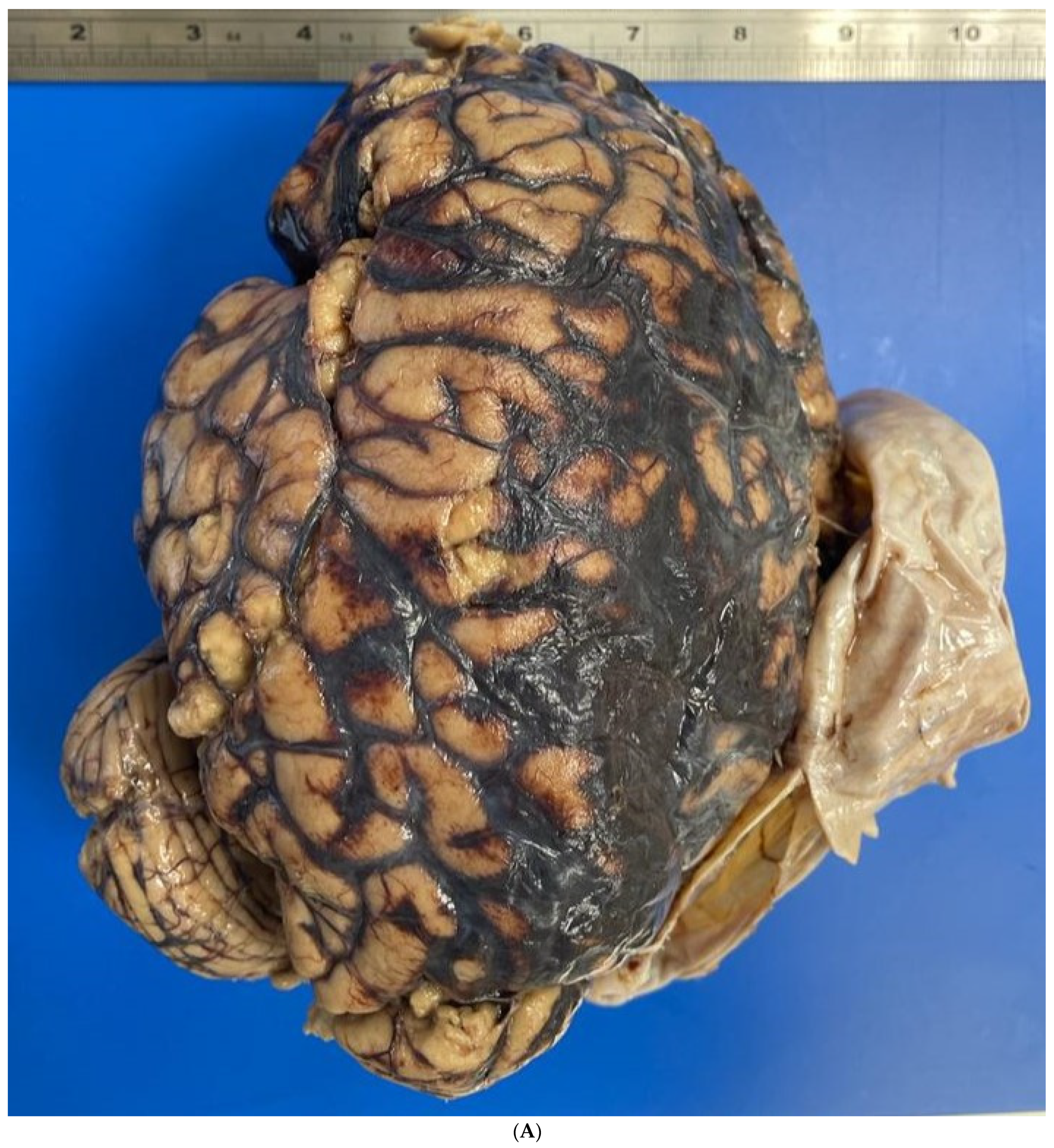 Healthcare 12 00192 g002a