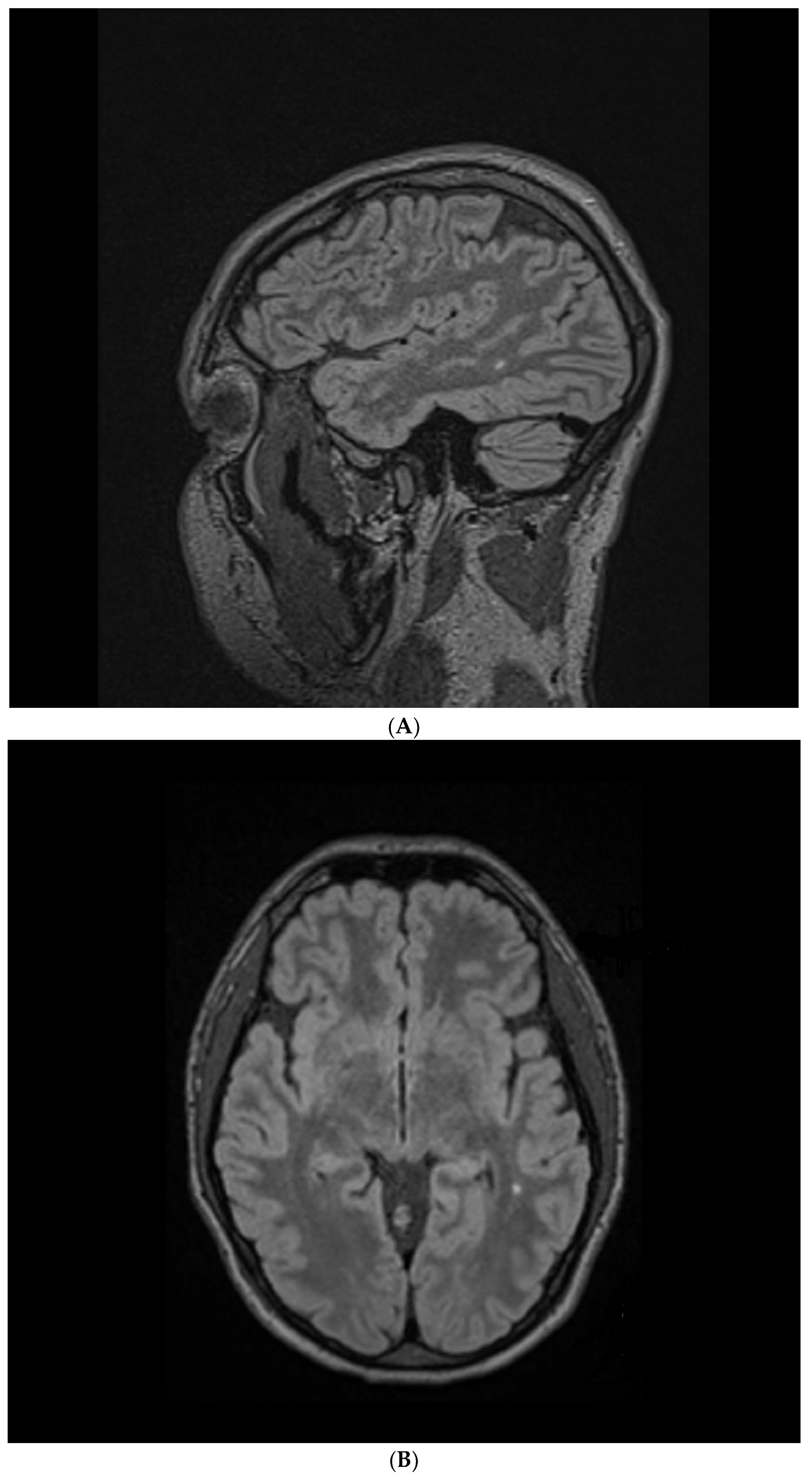Healthcare 12 00226 g002 Healthcare 12 00226 g002