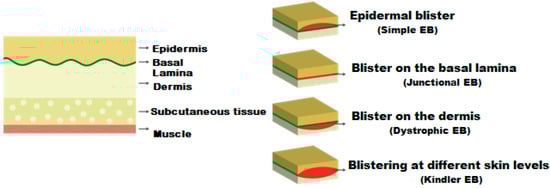 Healthcare 12 00261 g0a1