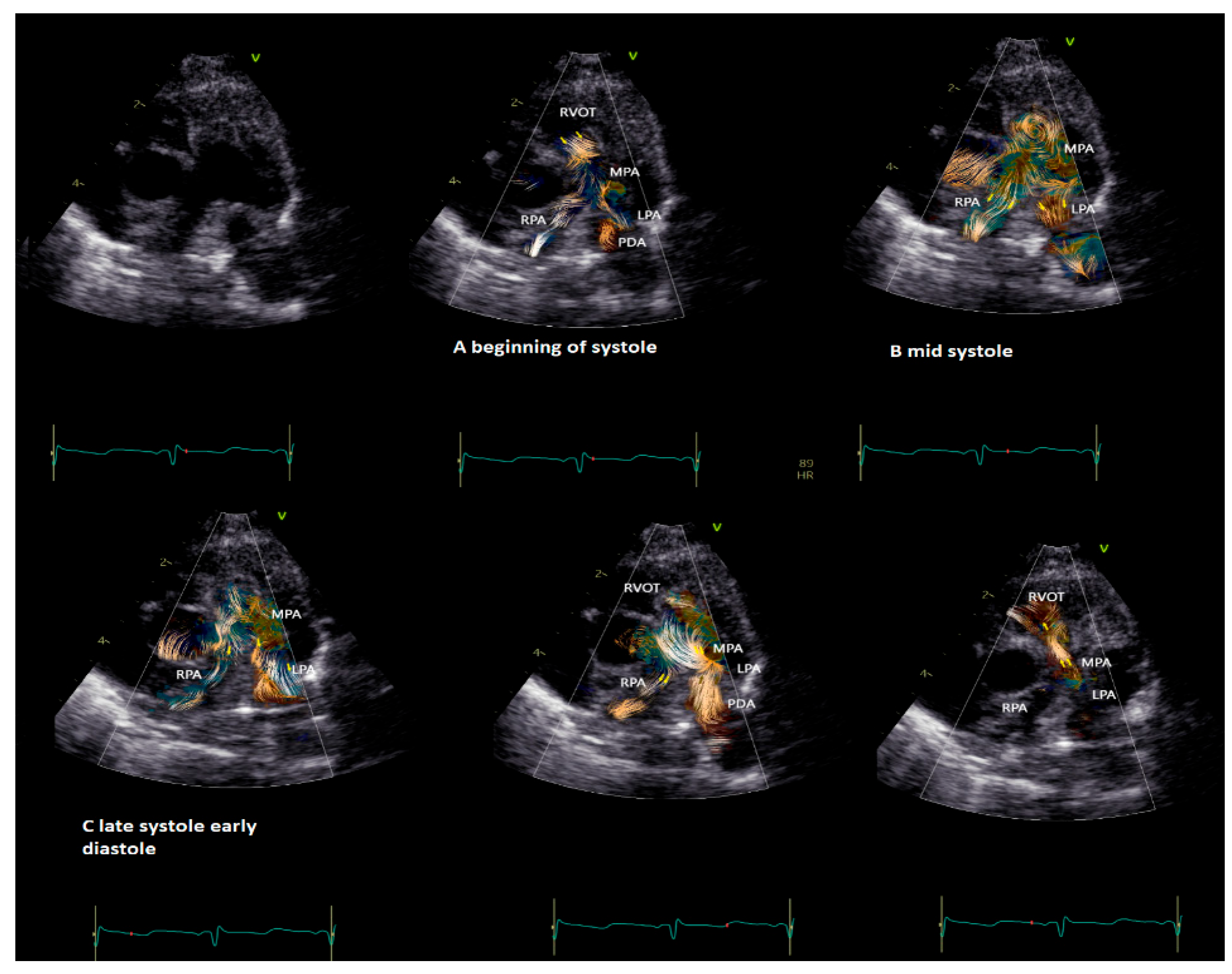 Healthcare 12 00263 g003