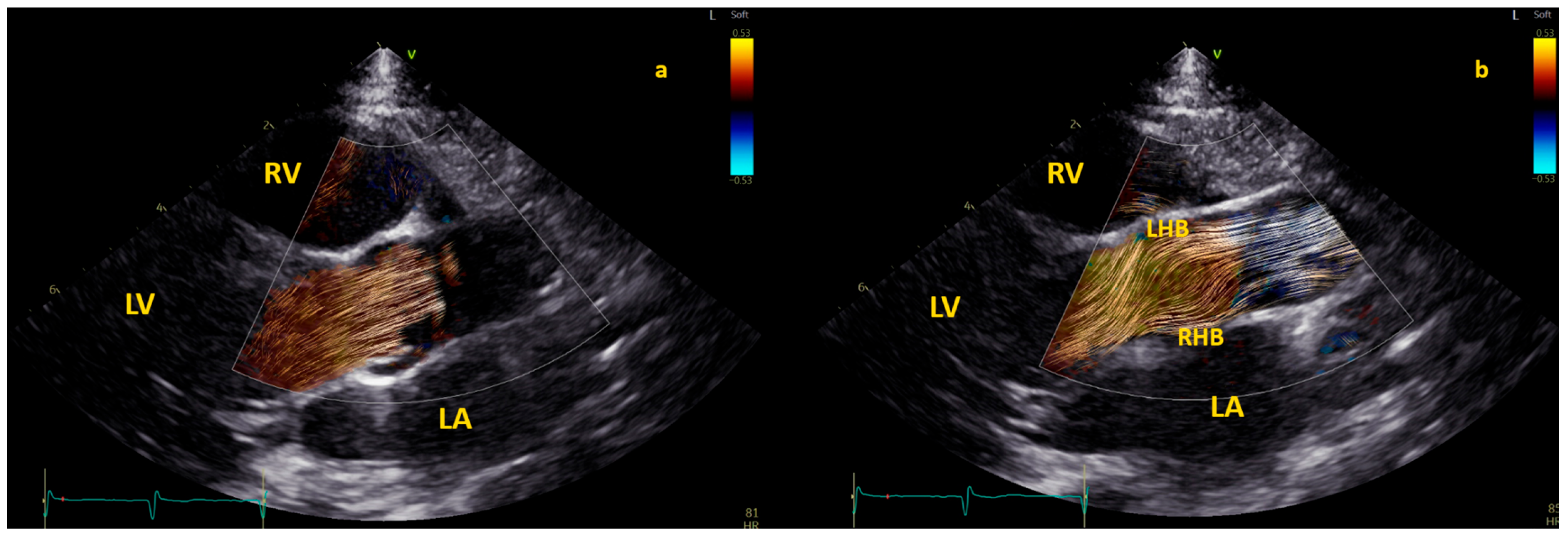 Healthcare 12 00263 g004