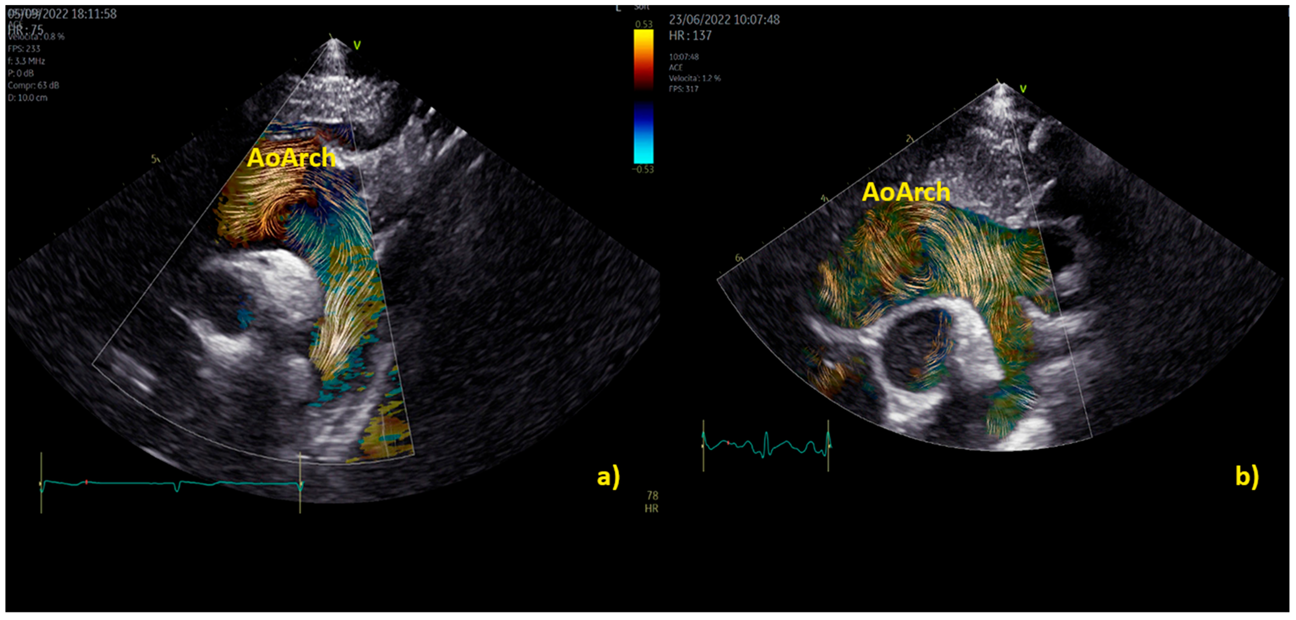 Healthcare 12 00263 g006