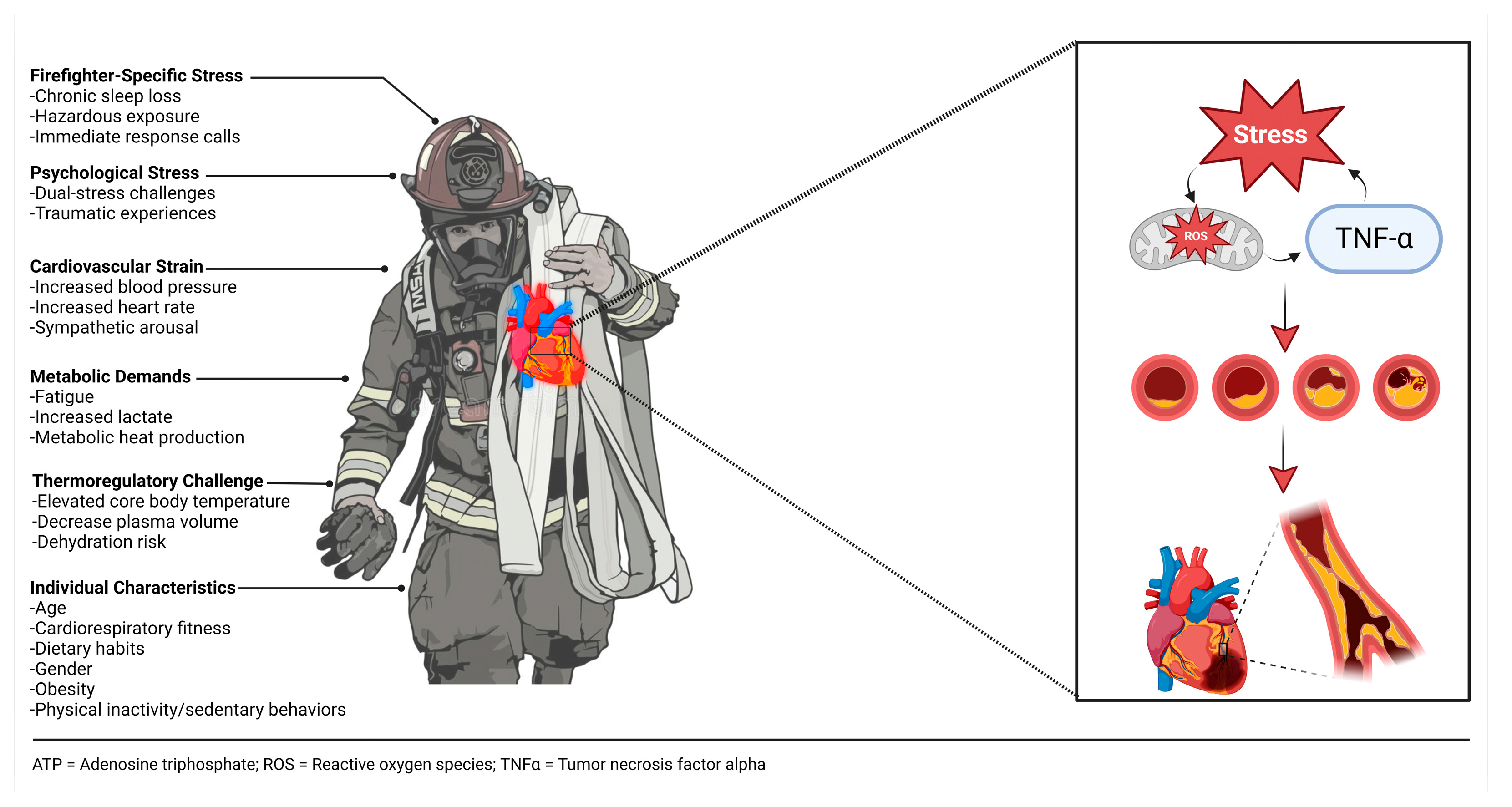 Healthcare 12 00440 g001 Healthcare 12 00440 g001