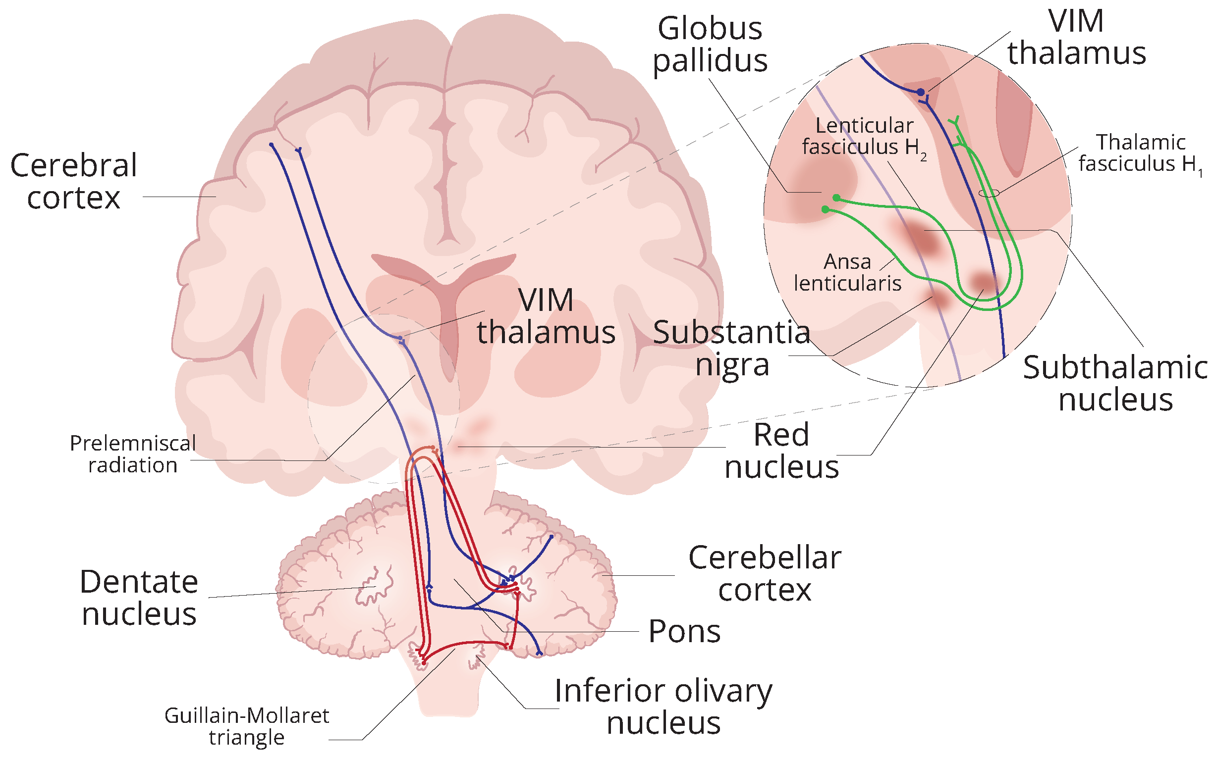 Healthcare 12 00448 g001