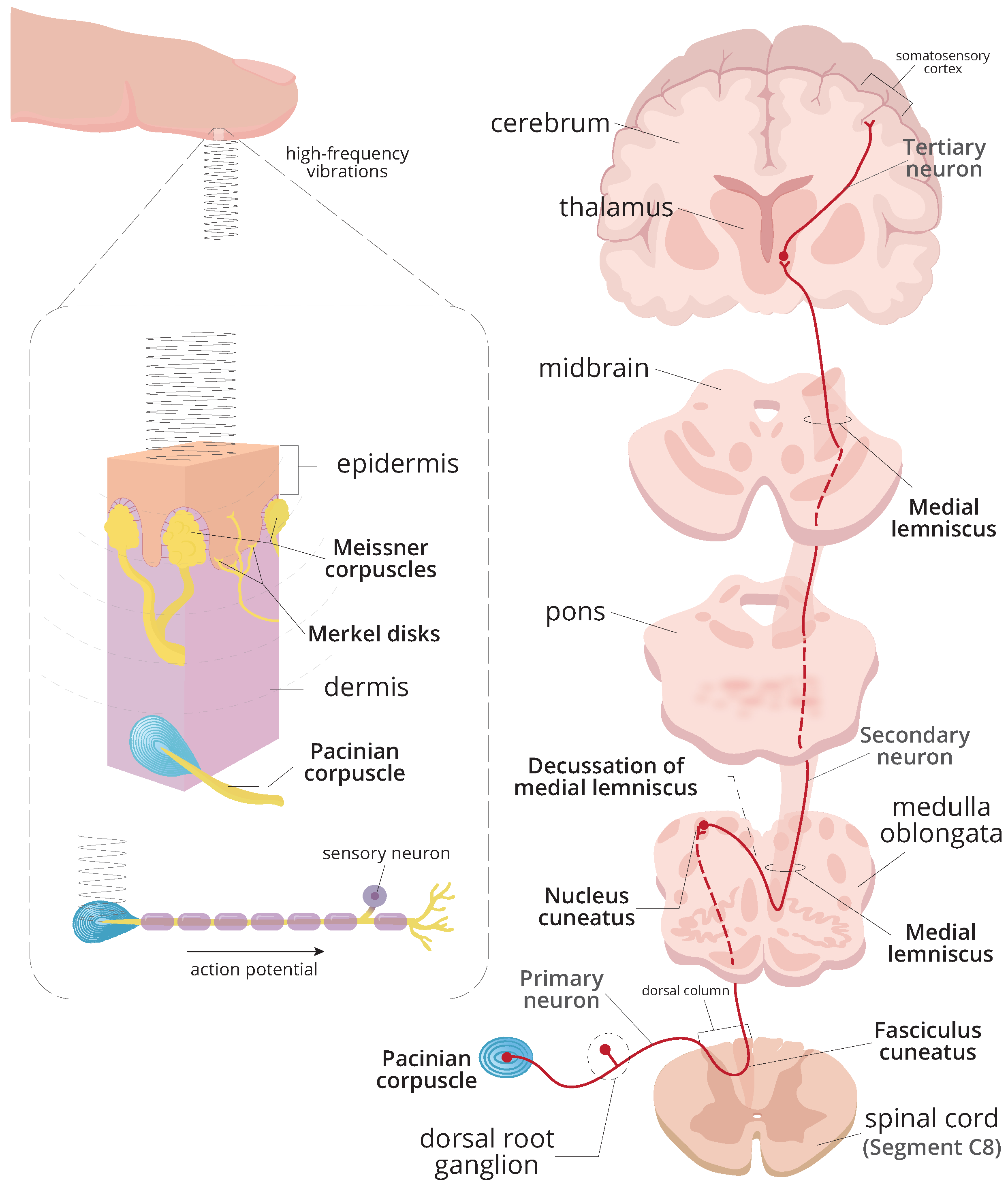 Healthcare 12 00448 g002