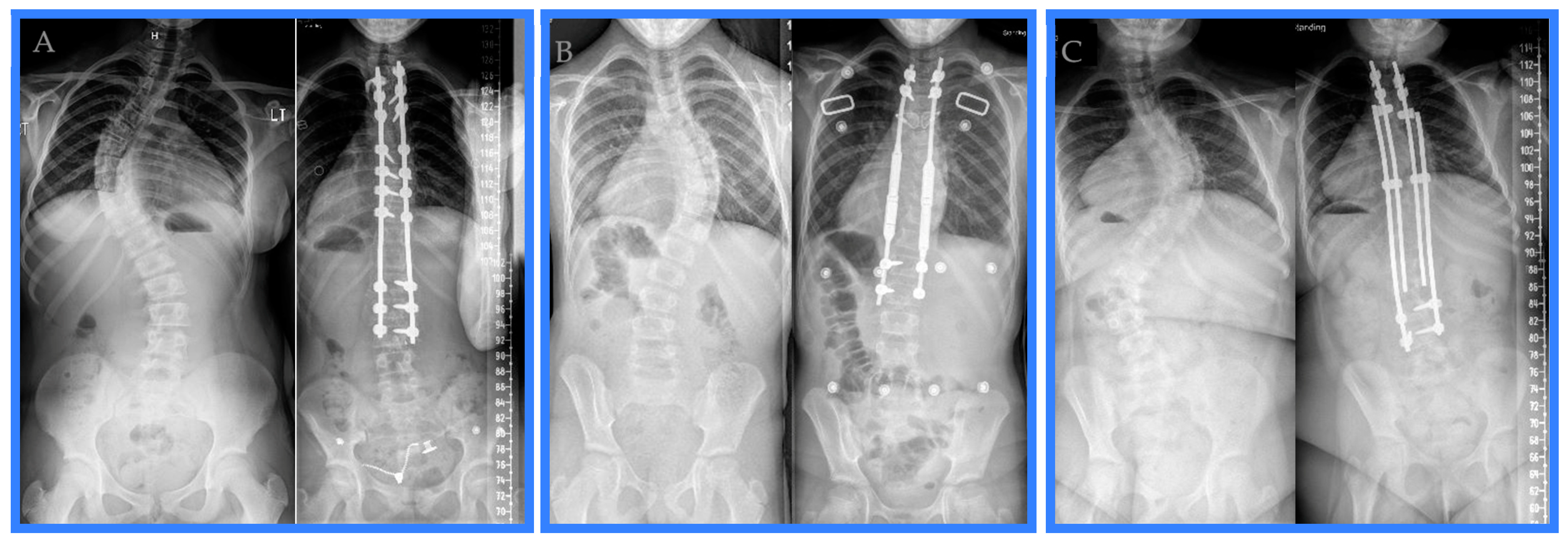 Healthcare 12 00489 g001