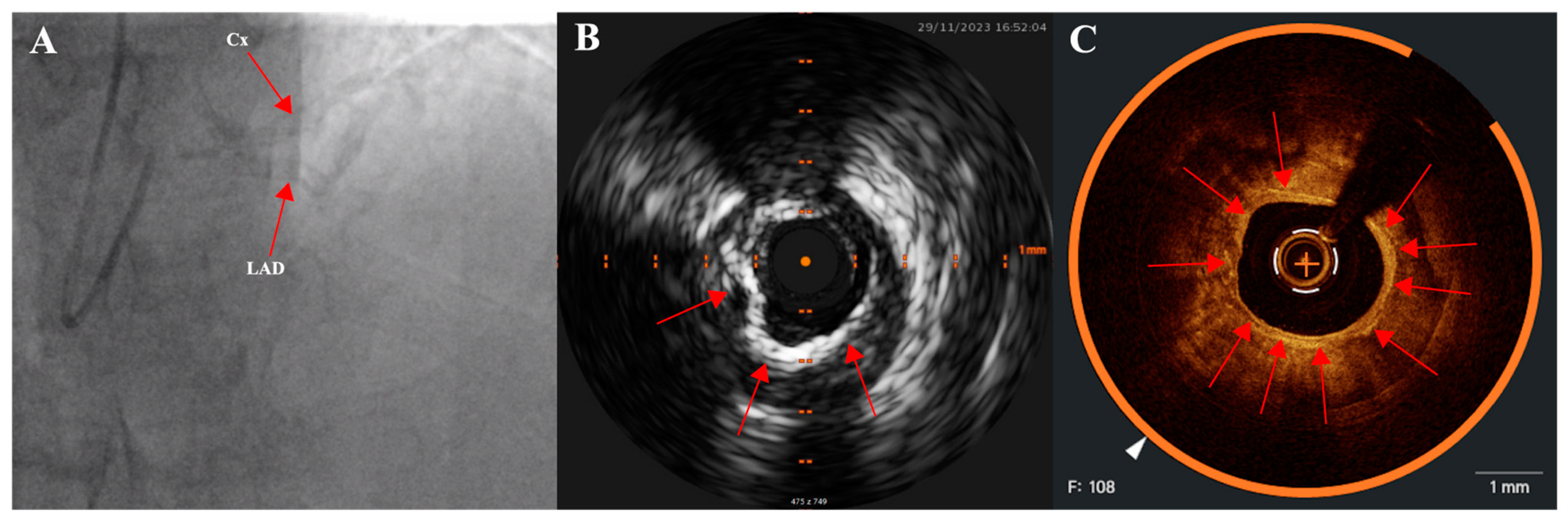 Healthcare 12 00520 g002