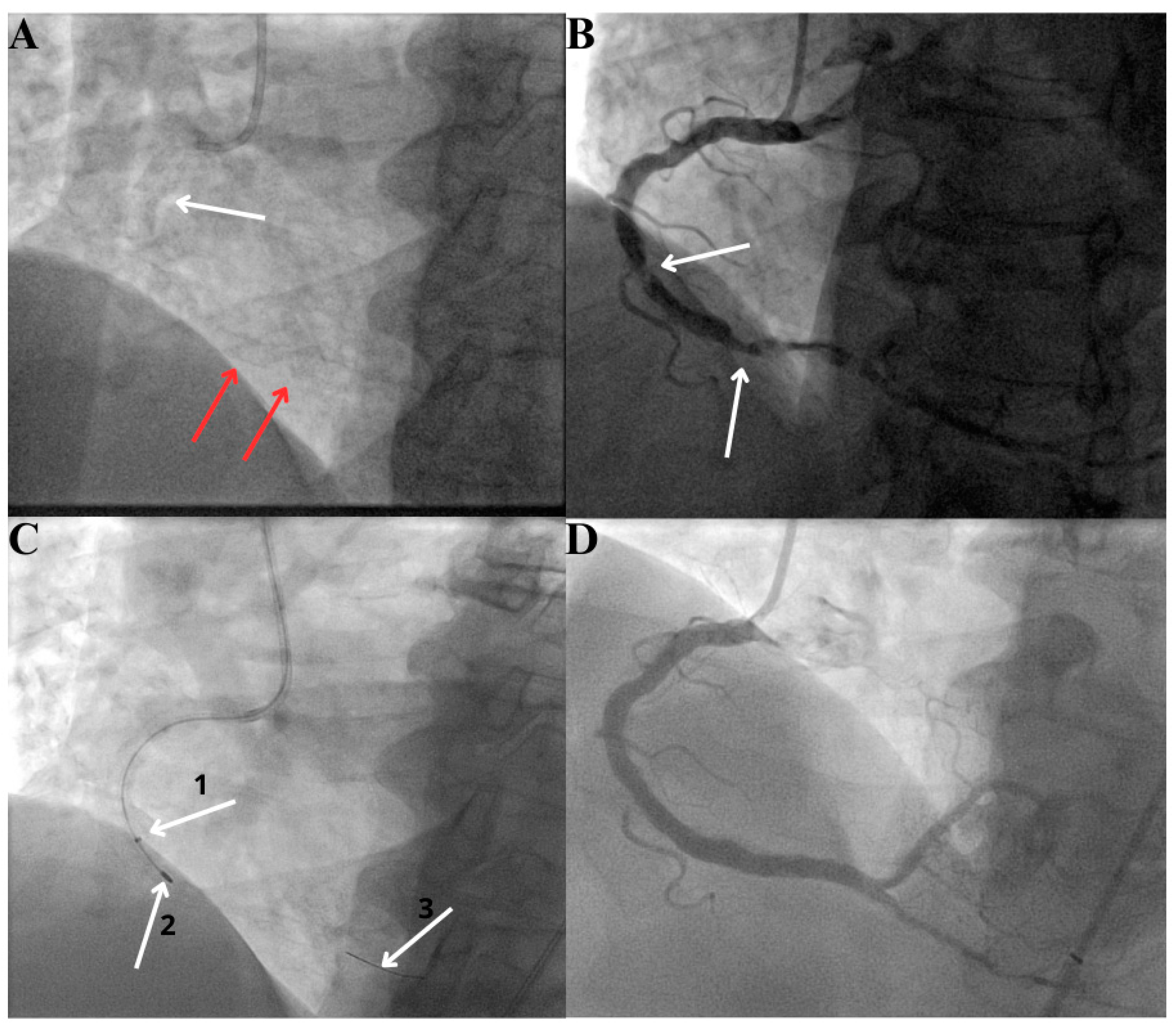Healthcare 12 00520 g005